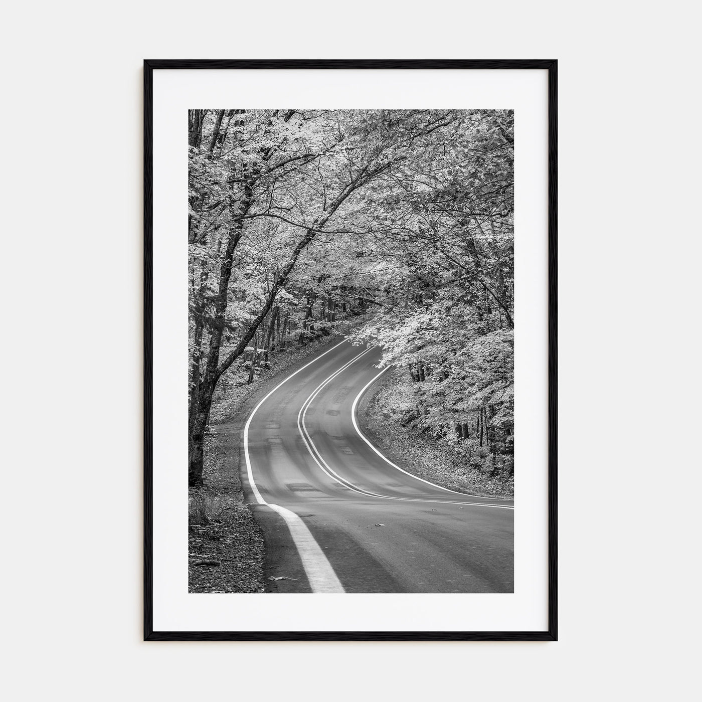 Michigan Photo B&W No 2 Poster