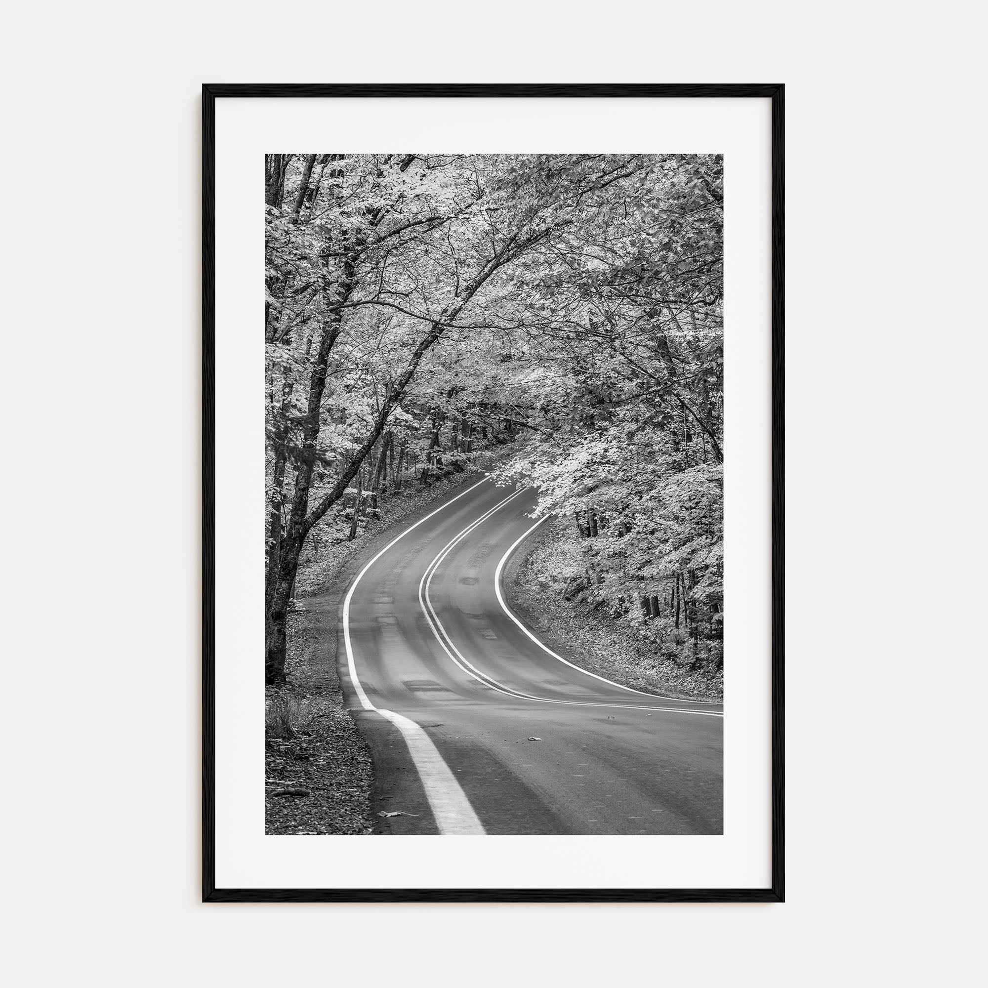 Michigan Photo B&W No 2 Poster