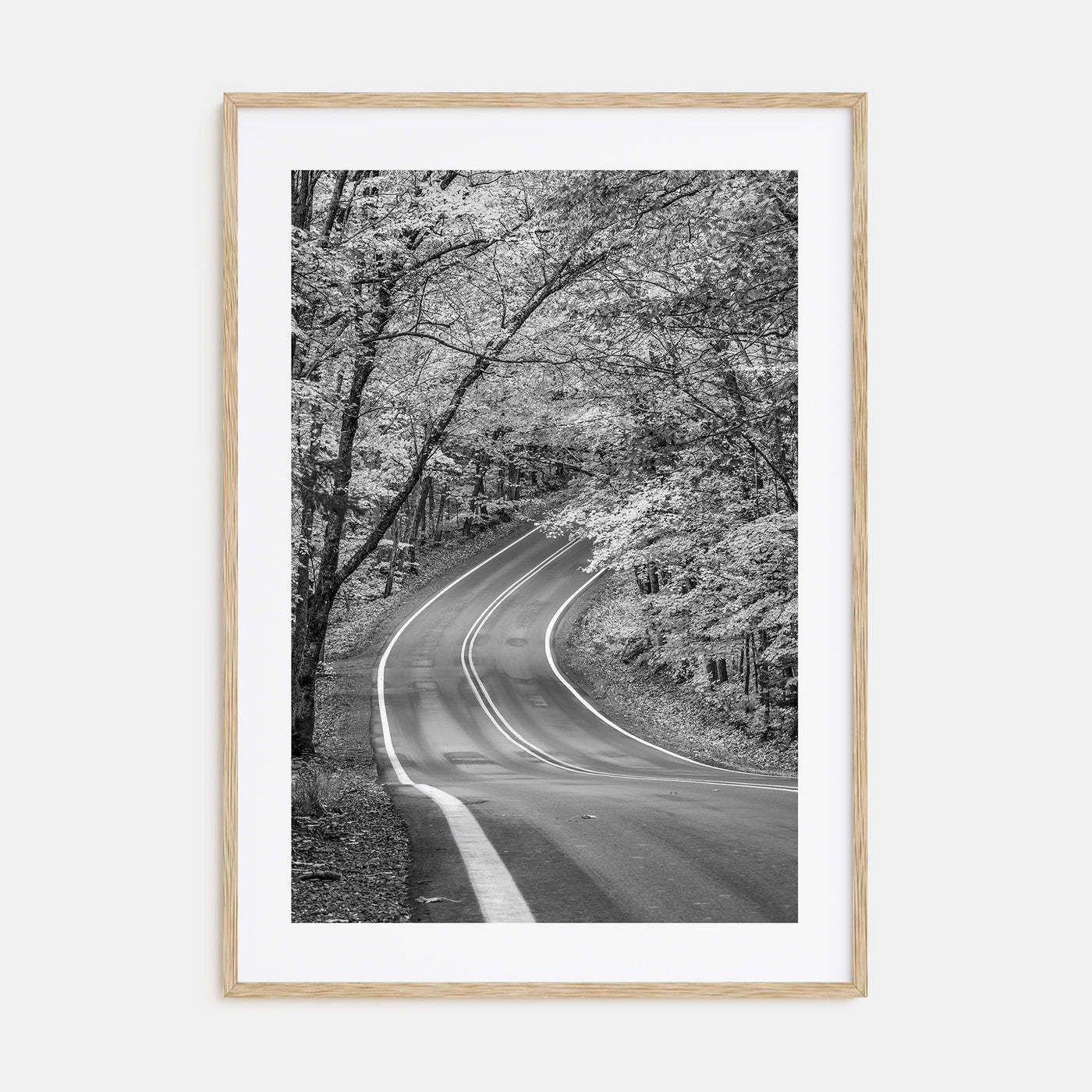 Michigan Photo B&W No 2 Poster