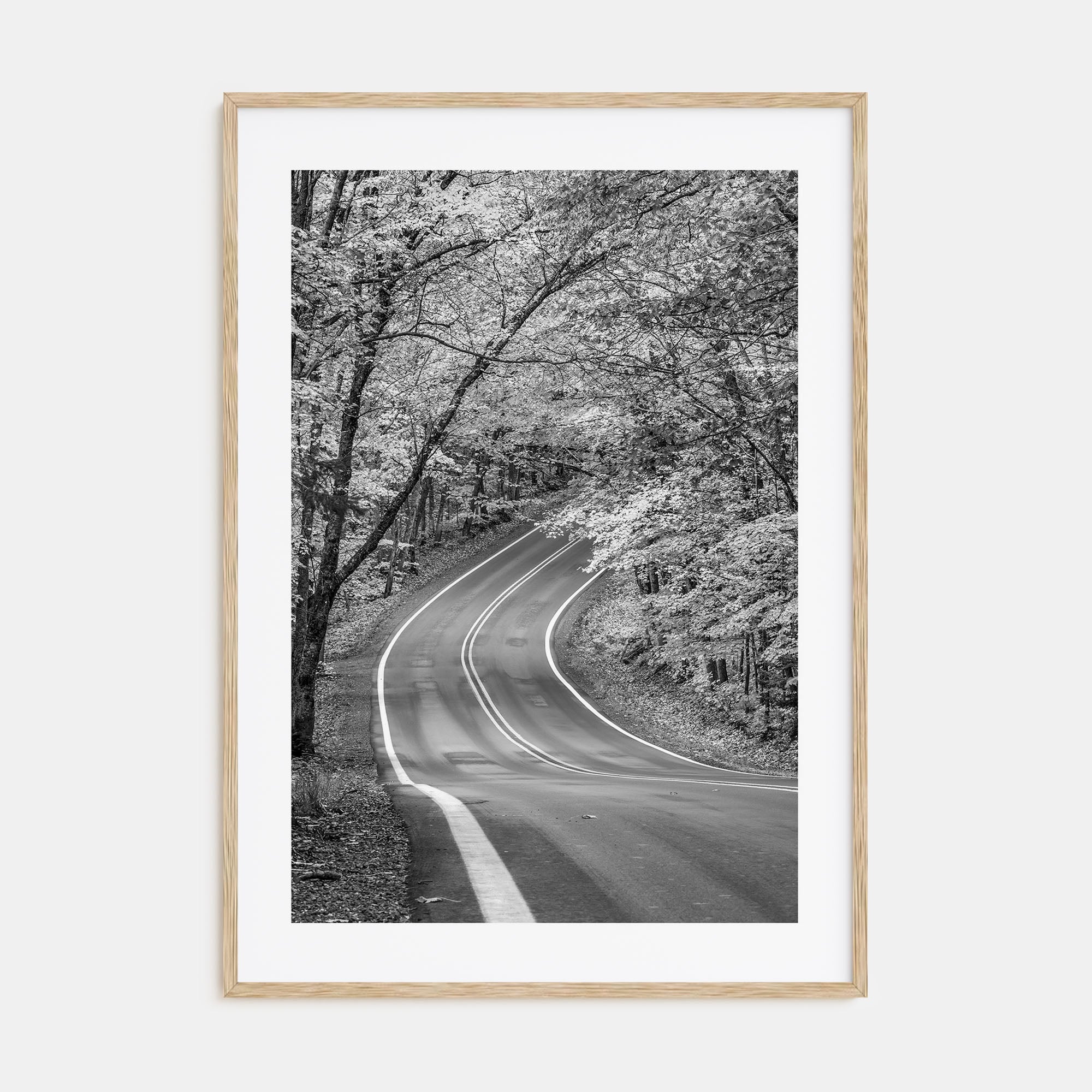 Michigan Photo B&W No 2 Poster