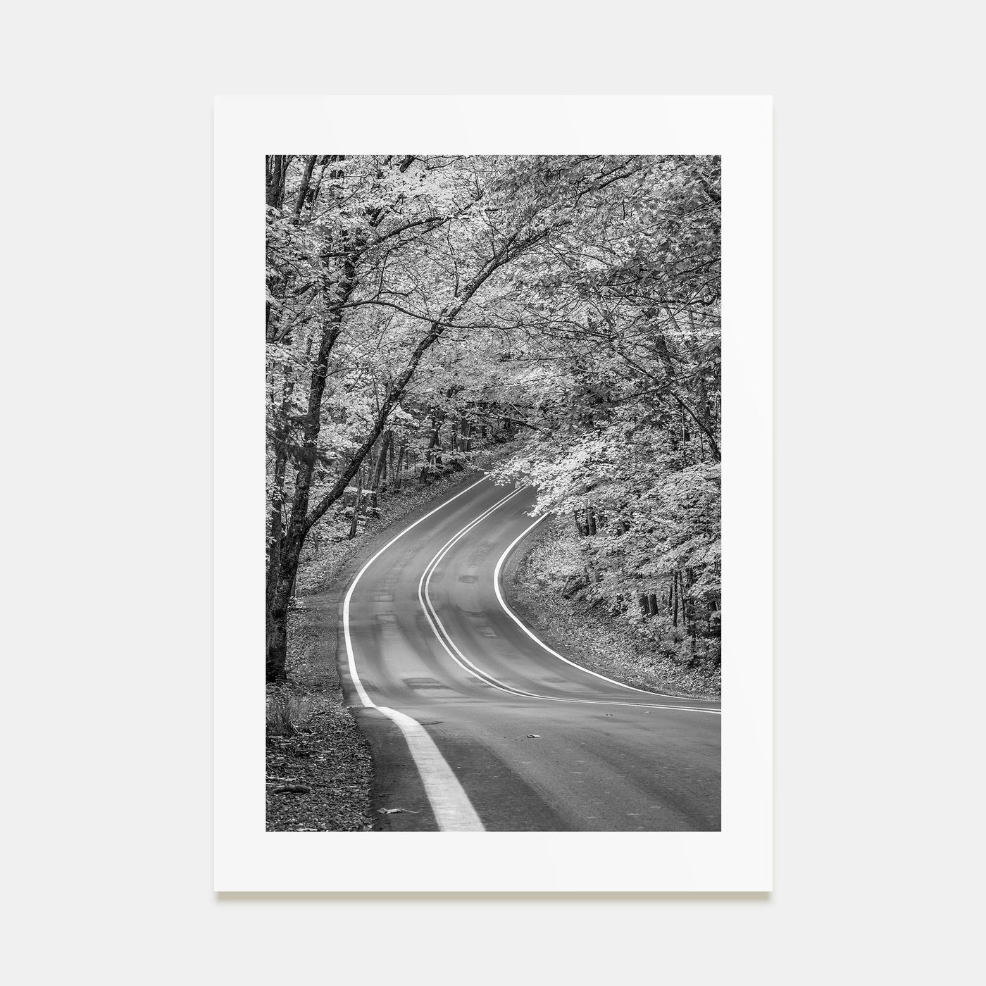 Michigan Photo B&W No 2 Poster