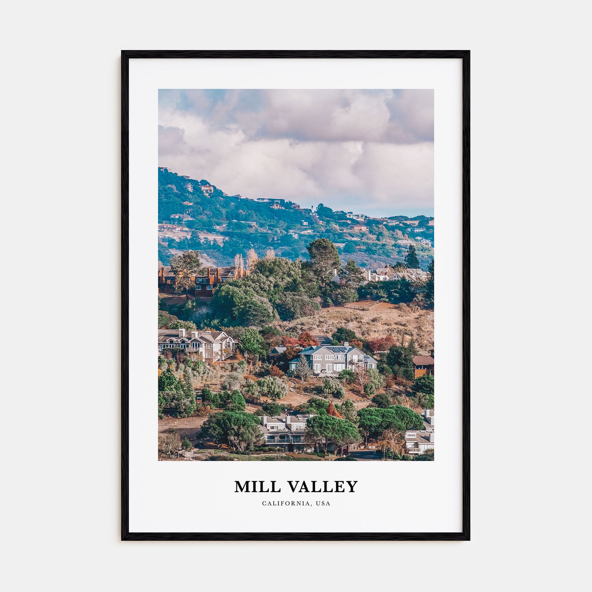 Mill Valley Portrait Color Poster