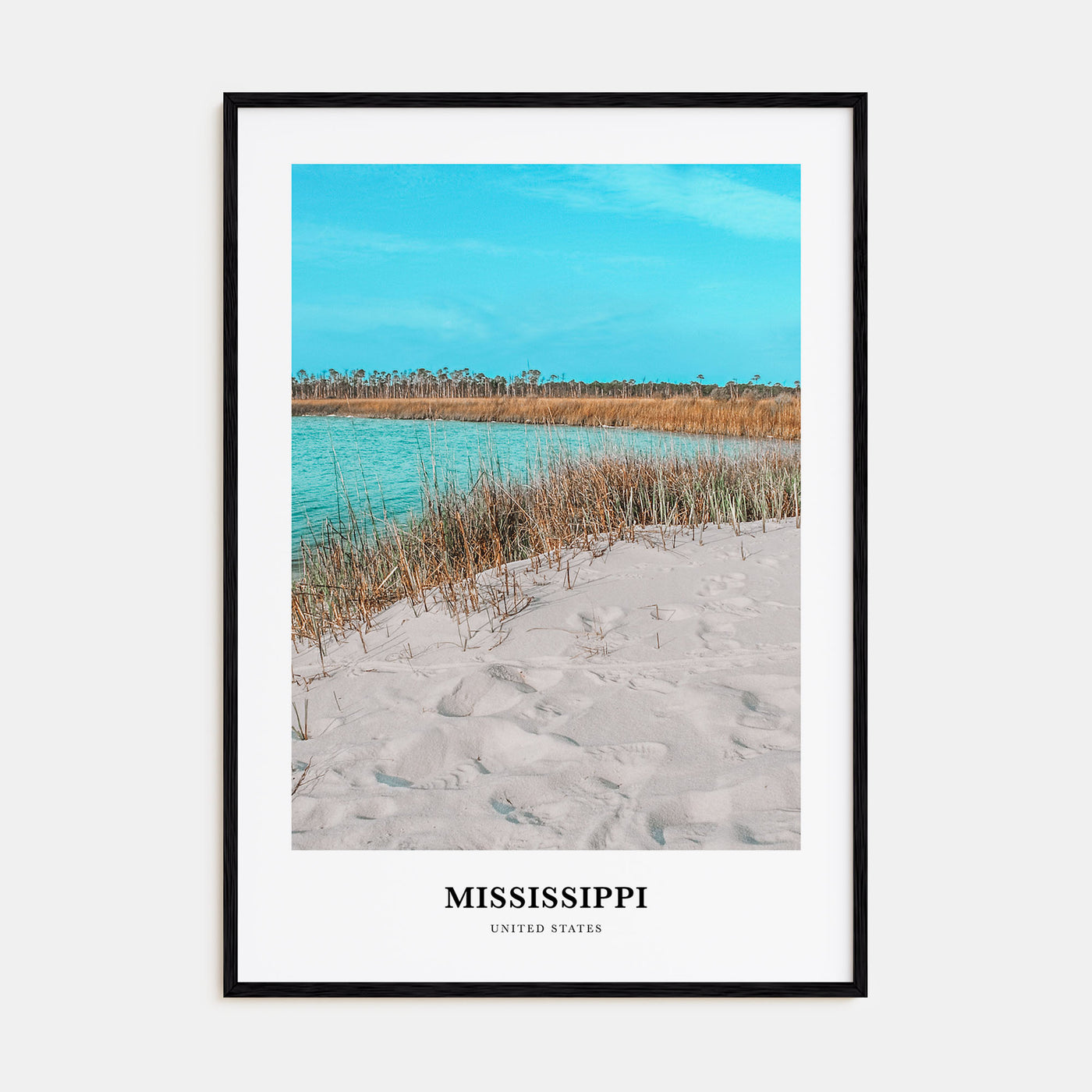 Mississippi Portrait Color No 1 Poster