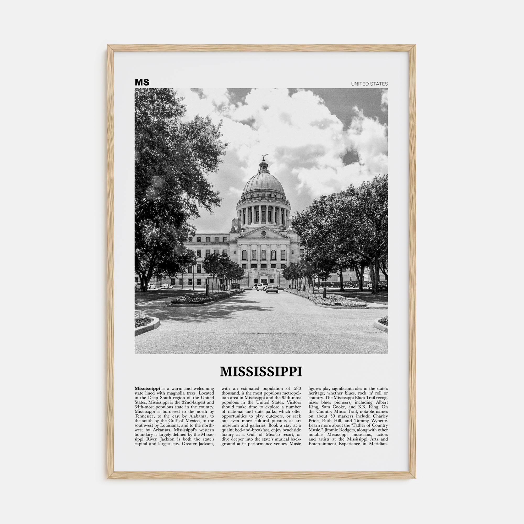 Mississippi Travel B&W No 1 Poster