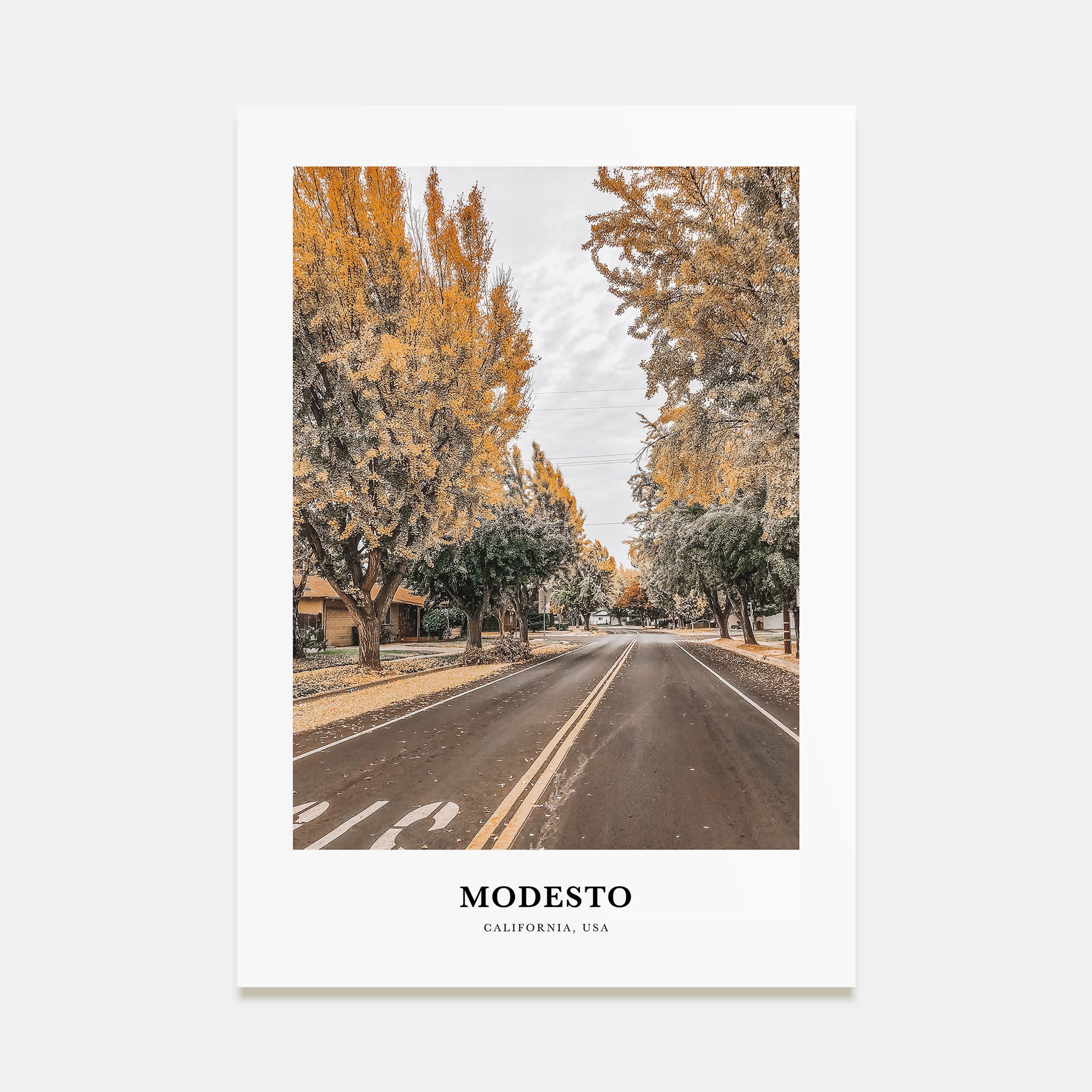 Modesto Portrait Color Poster