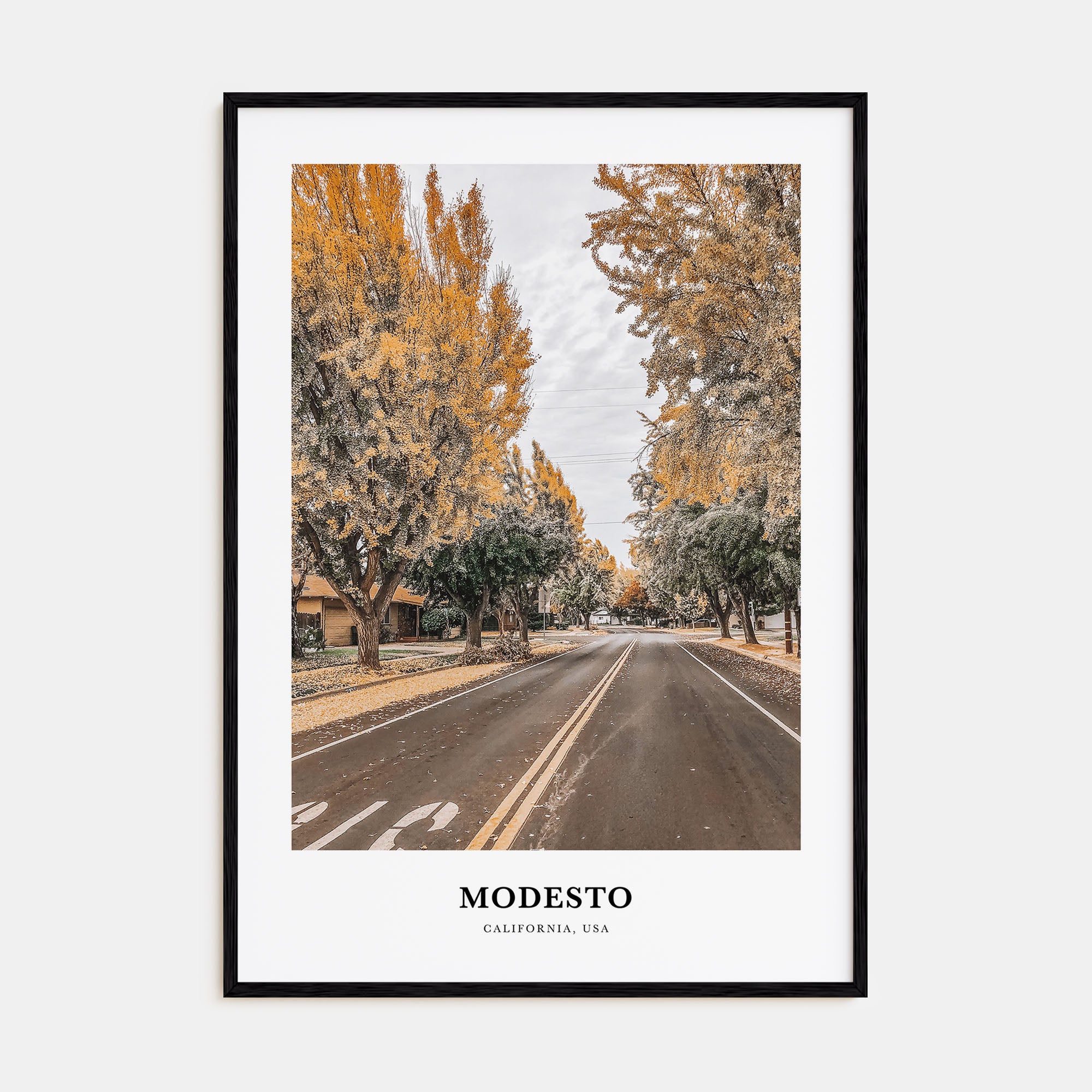 Modesto Portrait Color Poster