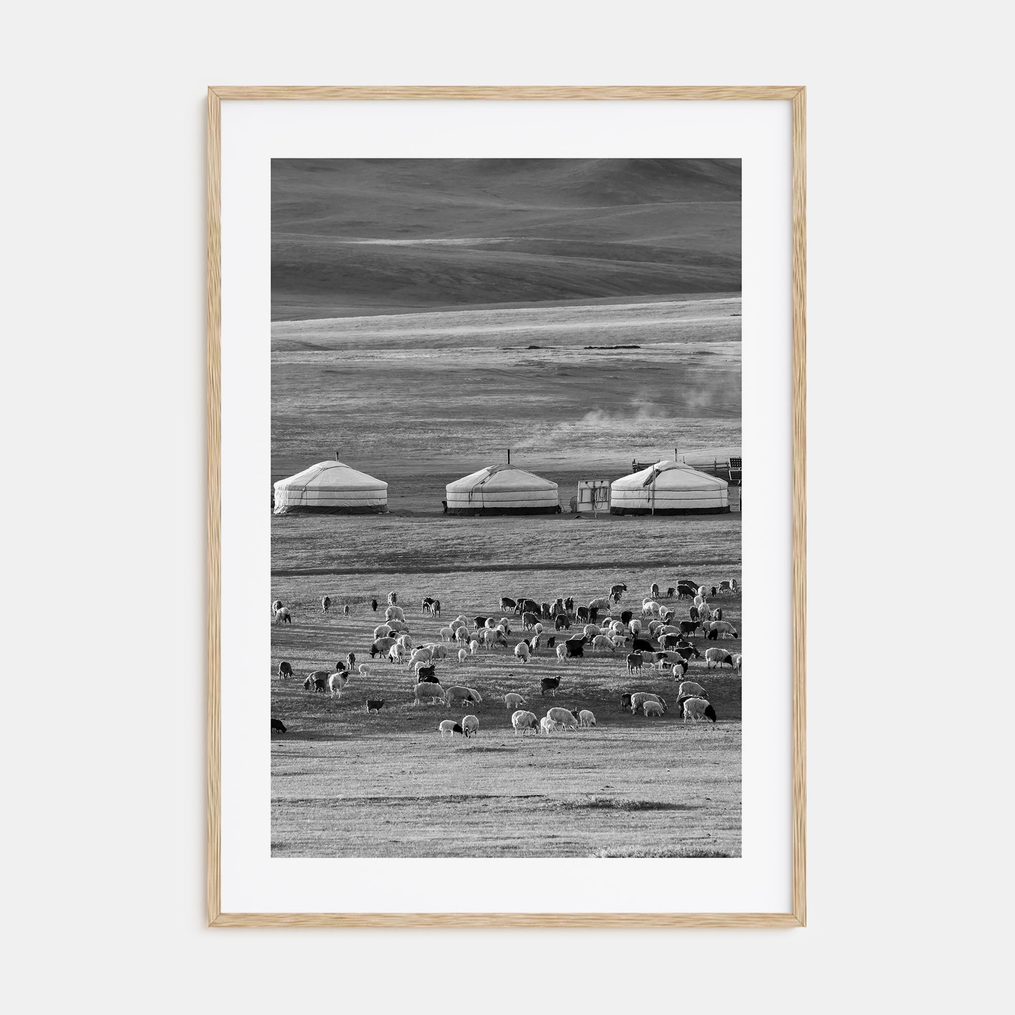 Mongolia Photo B&W Poster