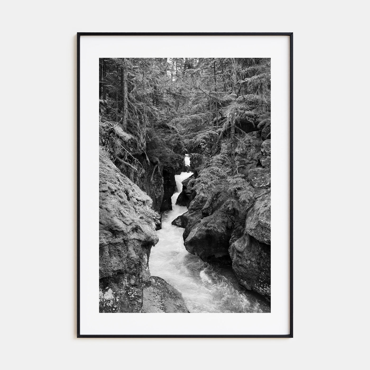 Montana Photo B&W No 2 Poster