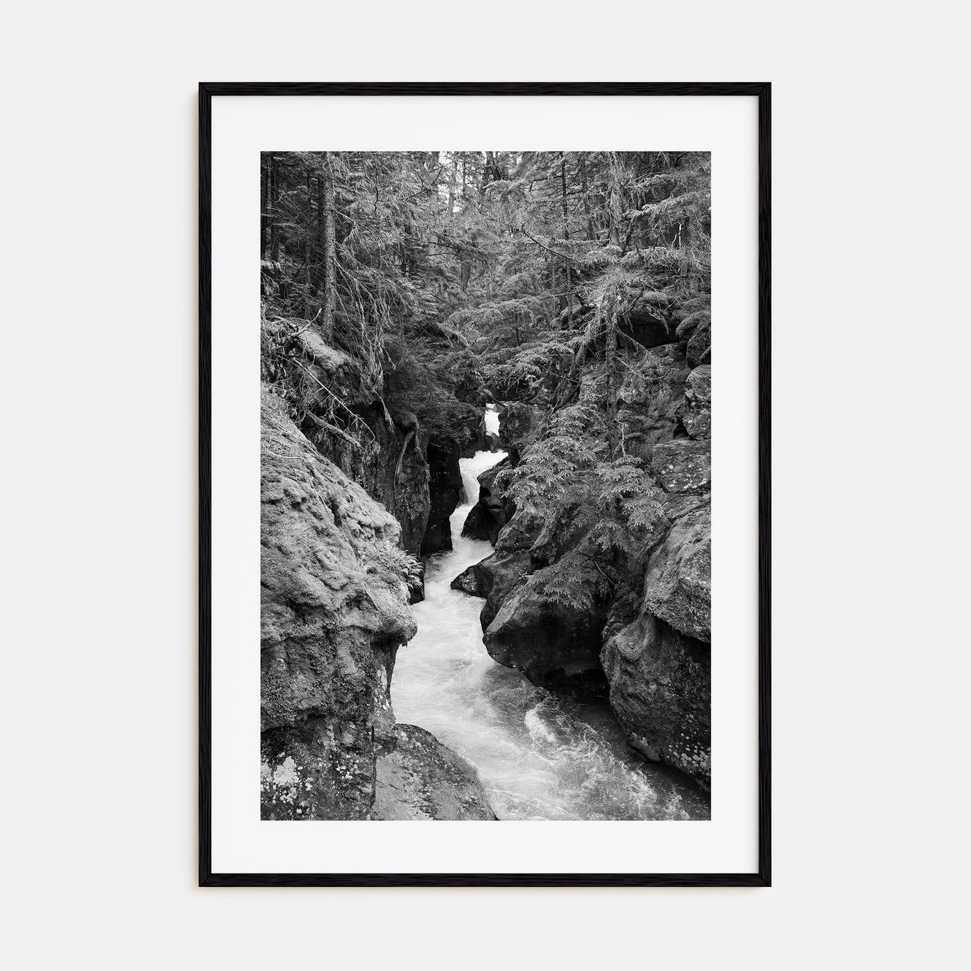 Montana Photo B&W No 2 Poster