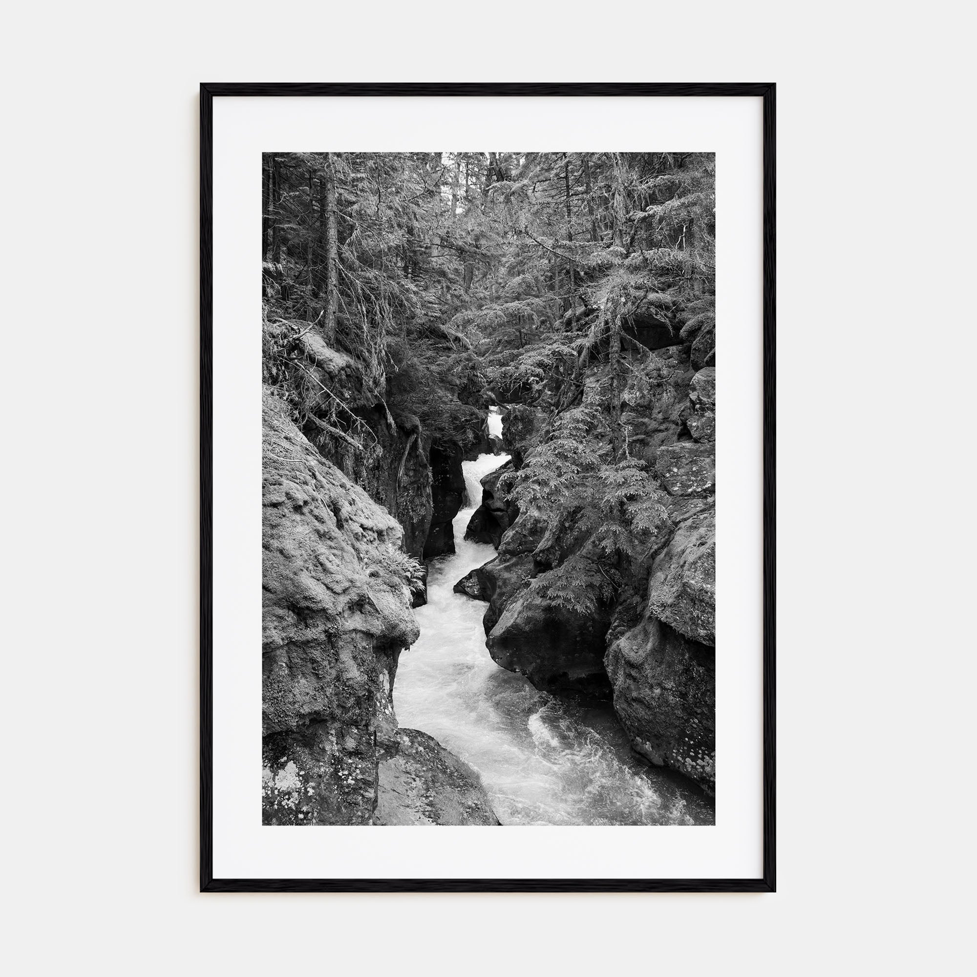 Montana Photo B&W No 2 Poster