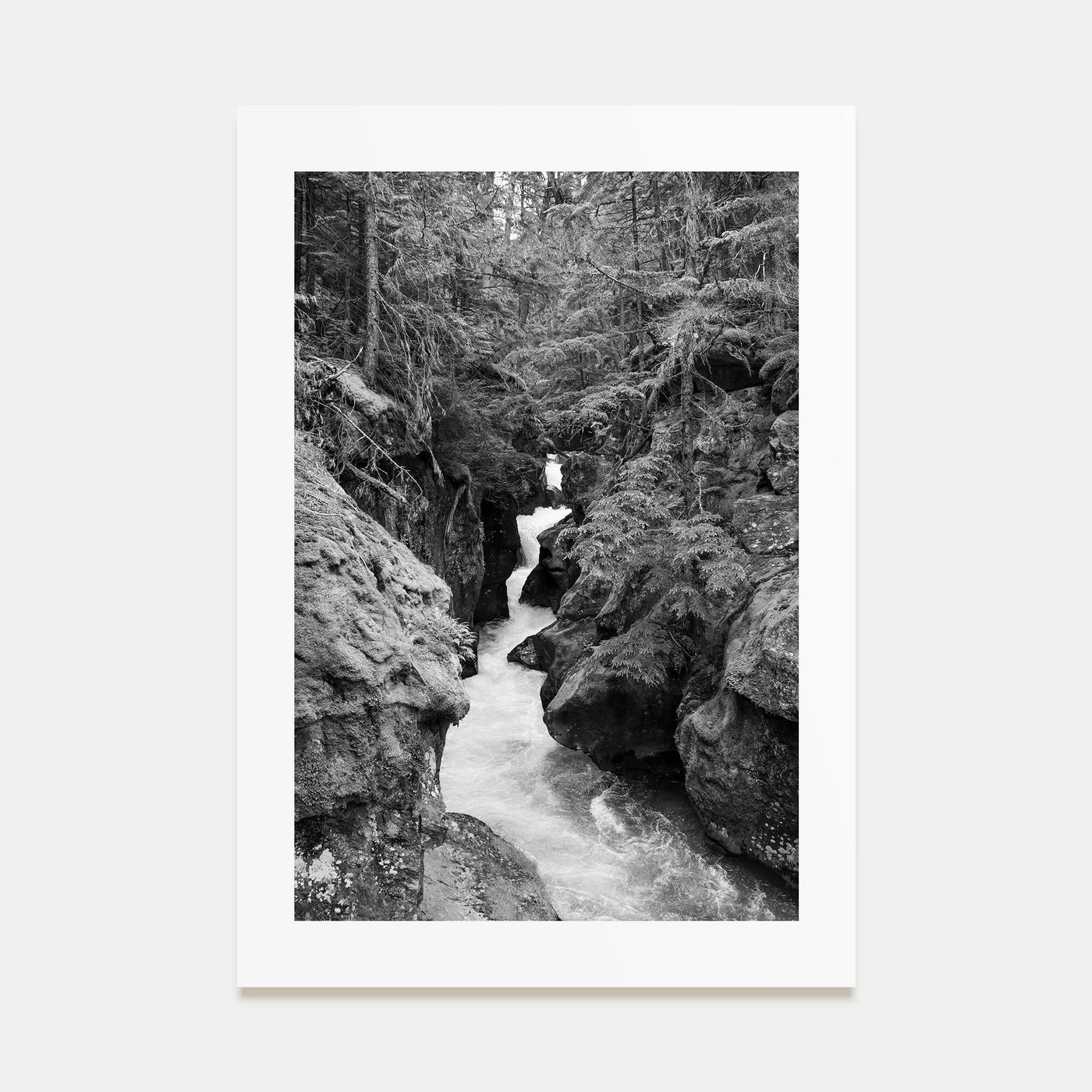 Montana Photo B&W No 2 Poster