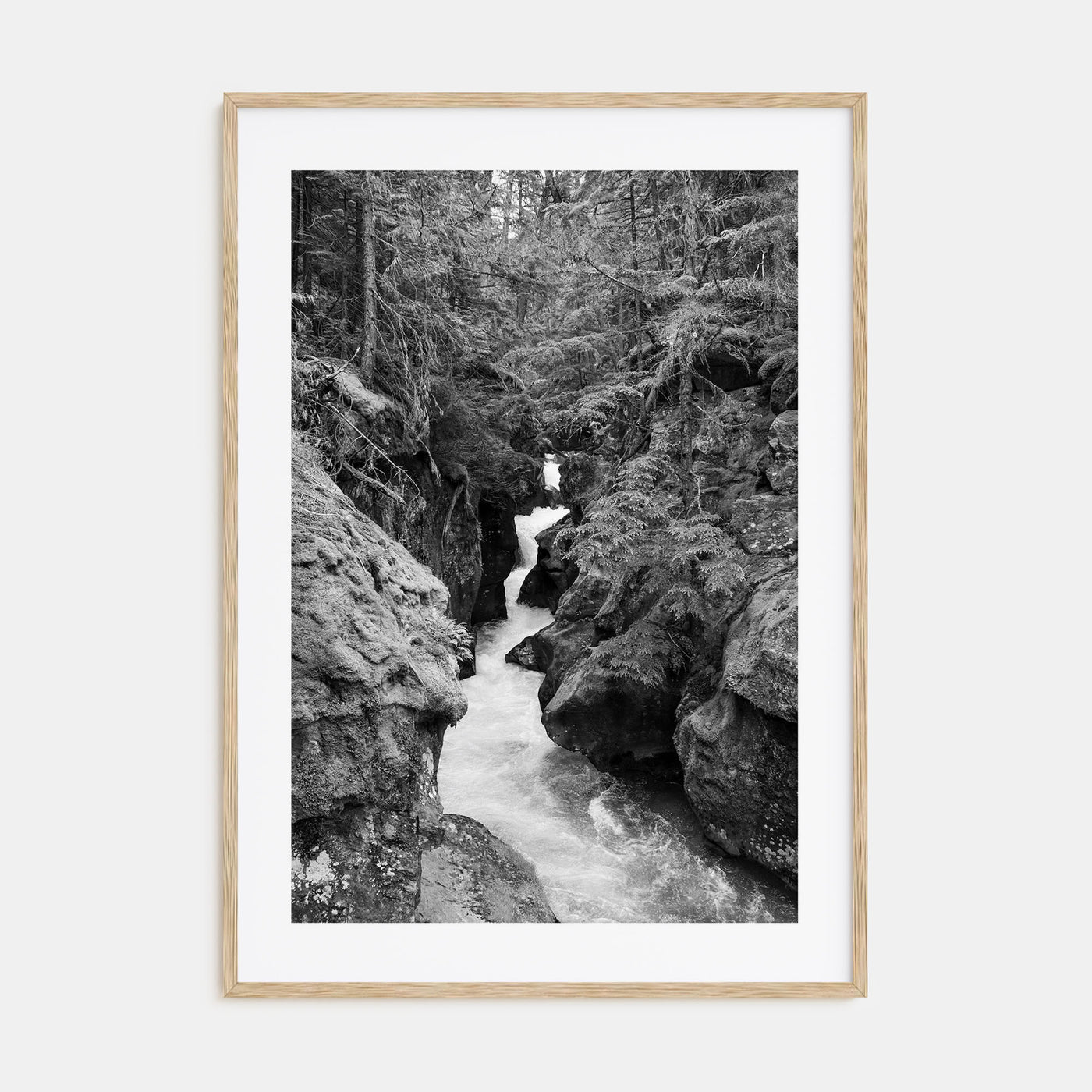 Montana Photo B&W No 2 Poster