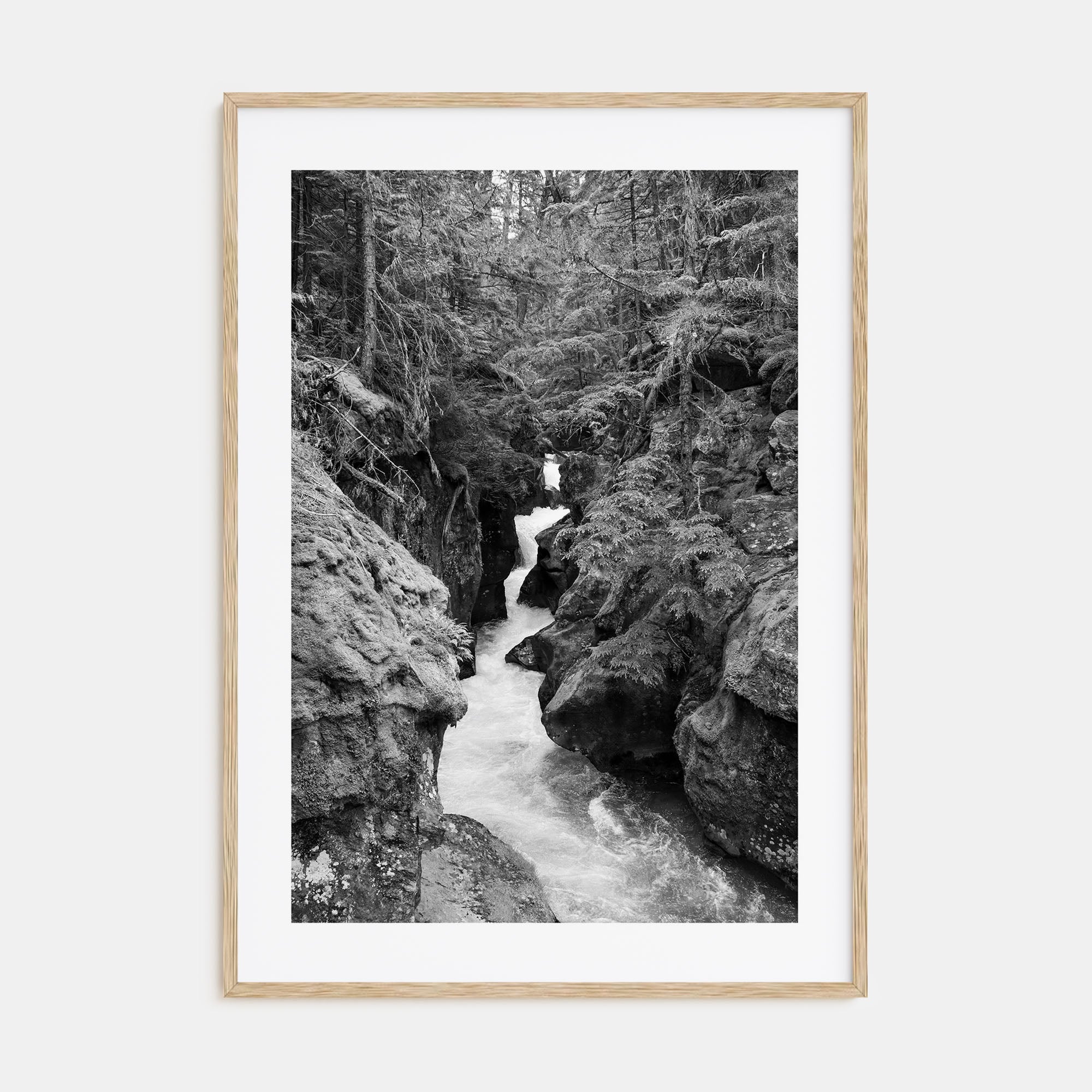 Montana Photo B&W No 2 Poster