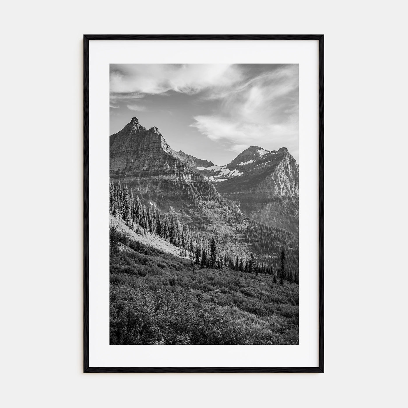Montana Photo B&W No 3 Poster