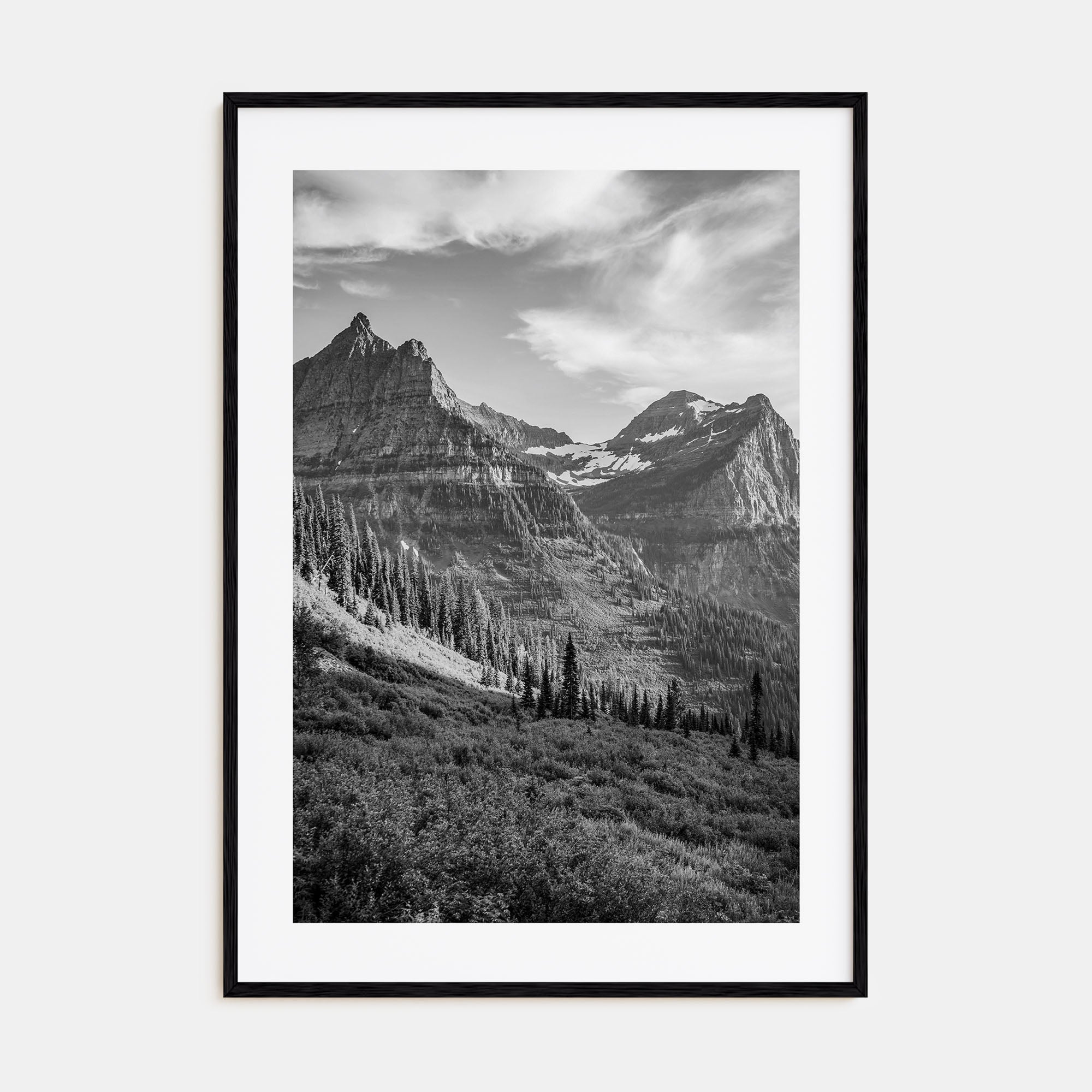 Montana Photo B&W No 3 Poster