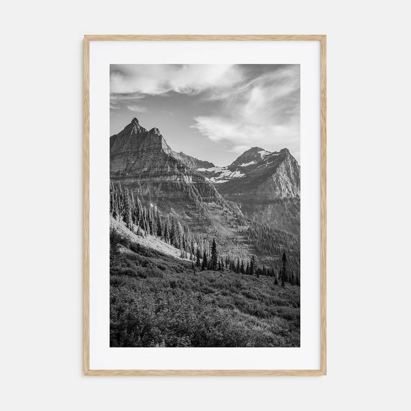 Montana Photo B&W No 3 Poster