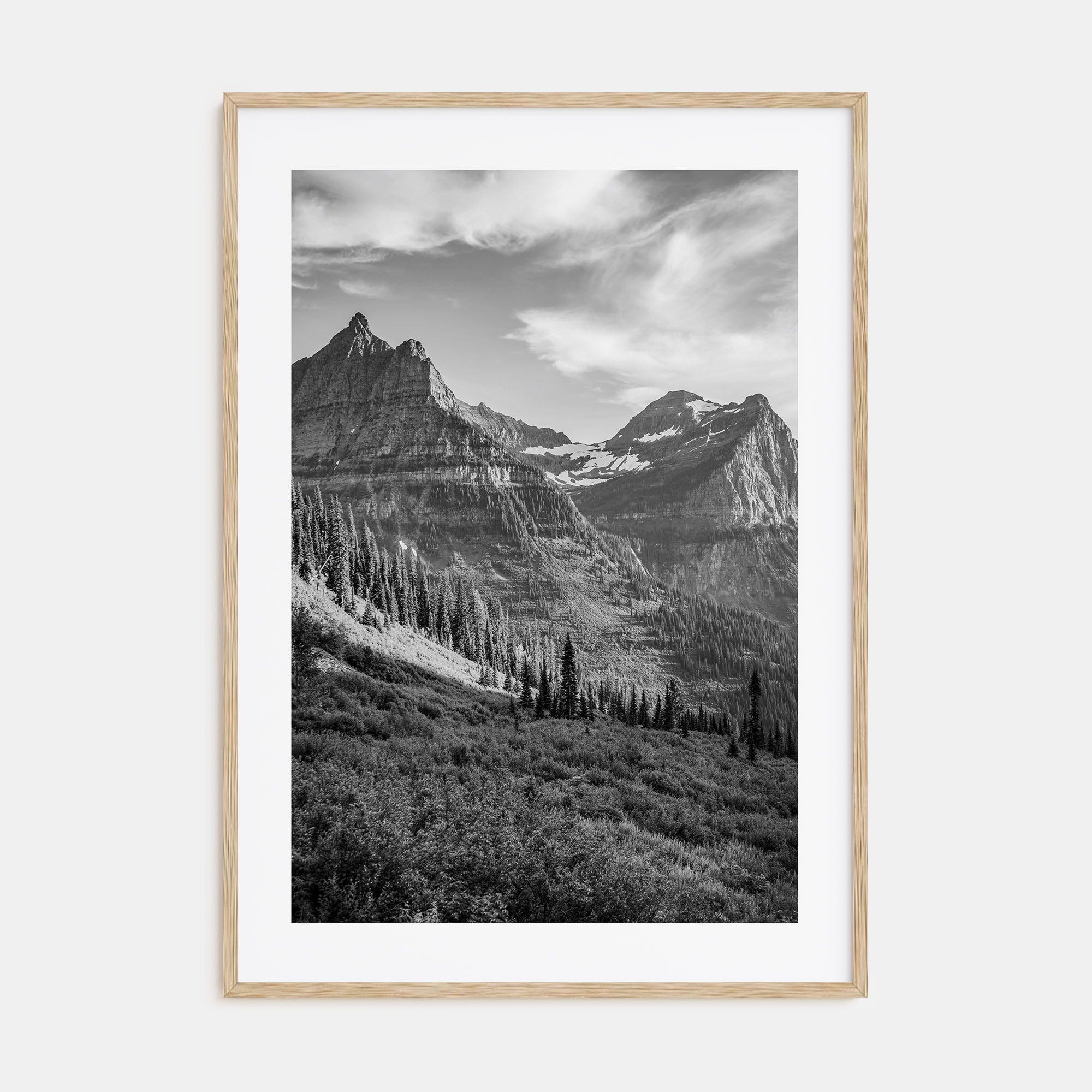 Montana Photo B&W No 3 Poster