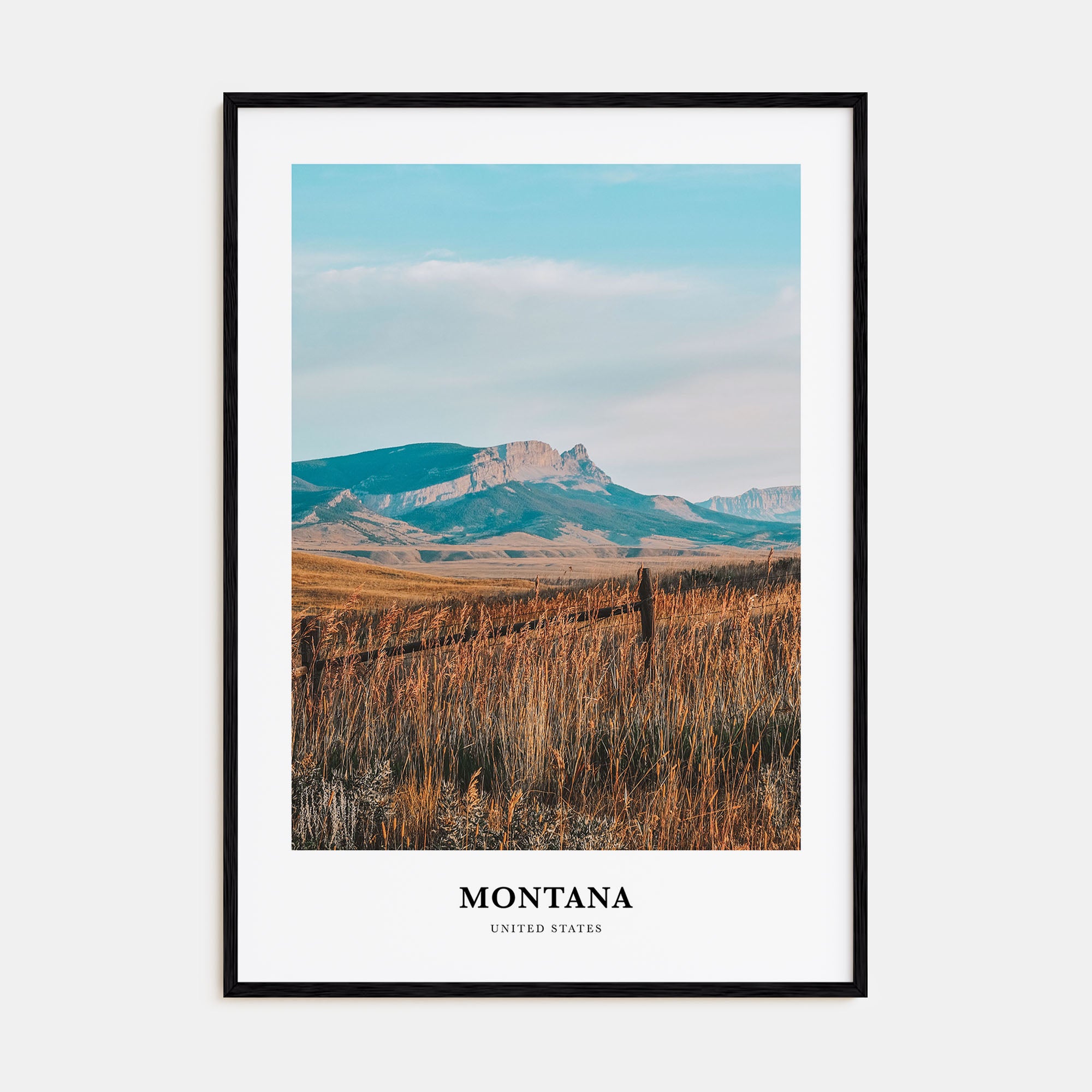 Montana Portrait Color No 2 Poster