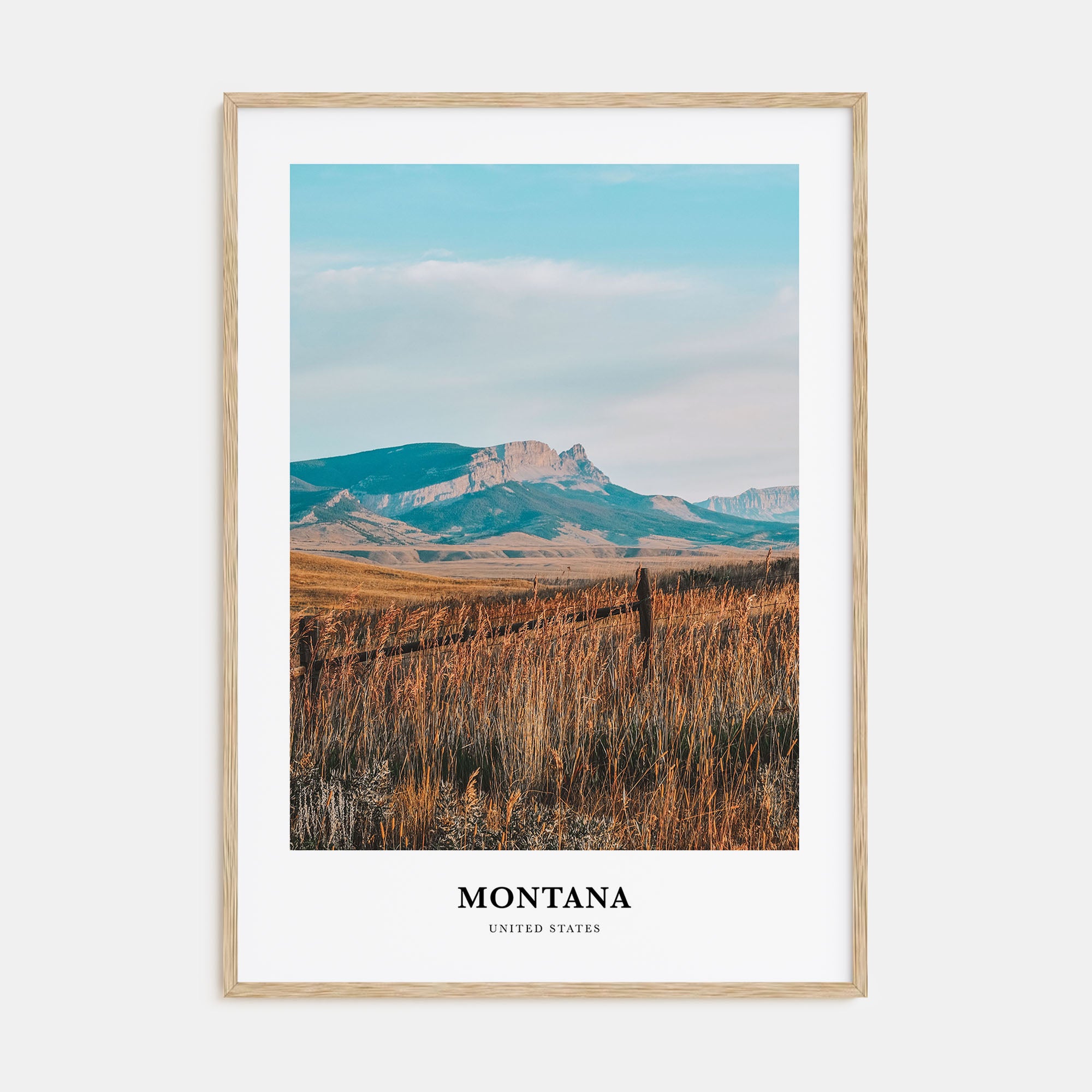 Montana Portrait Color No 2 Poster