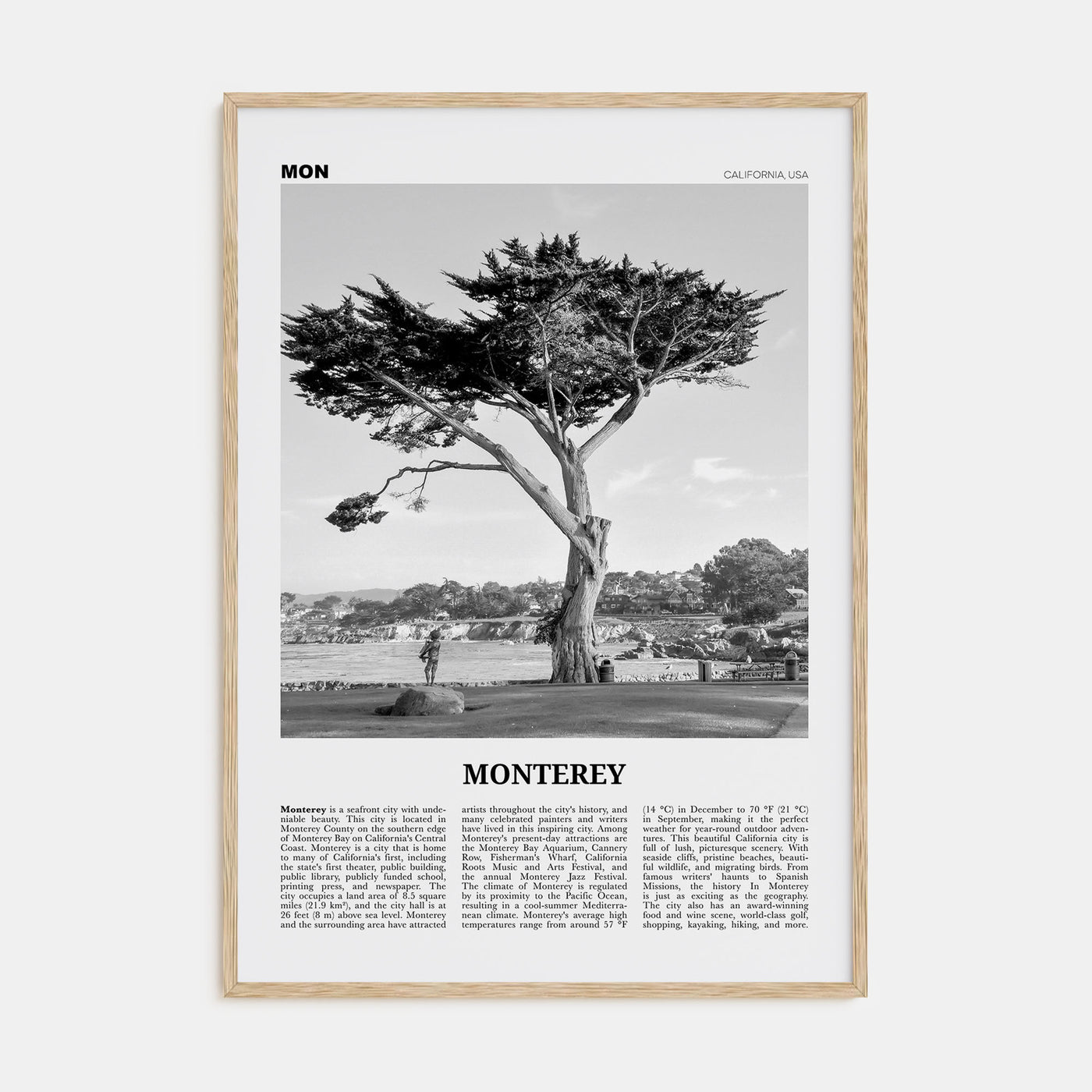 Monterey Travel B&W Poster