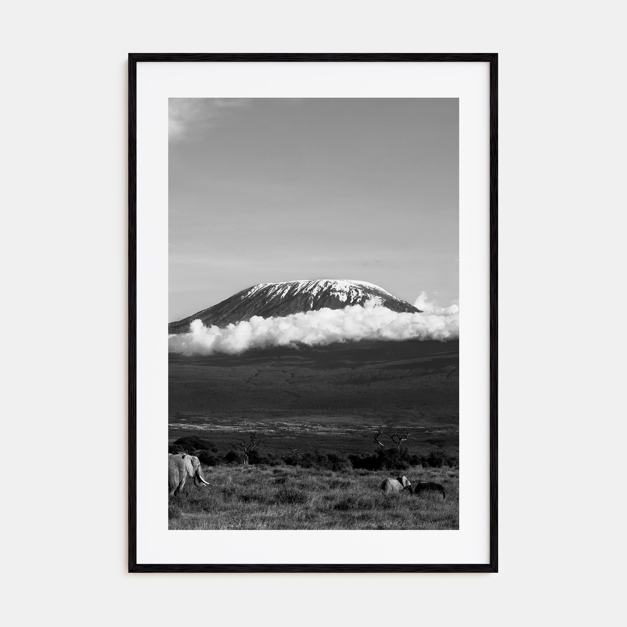 Mount Kilimanjaro Photo B&W Poster