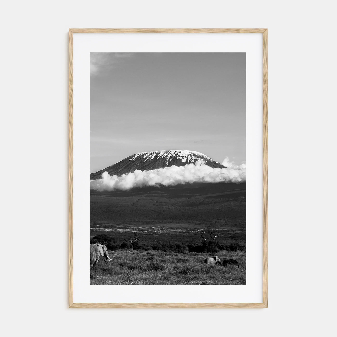 Mount Kilimanjaro Photo B&W Poster
