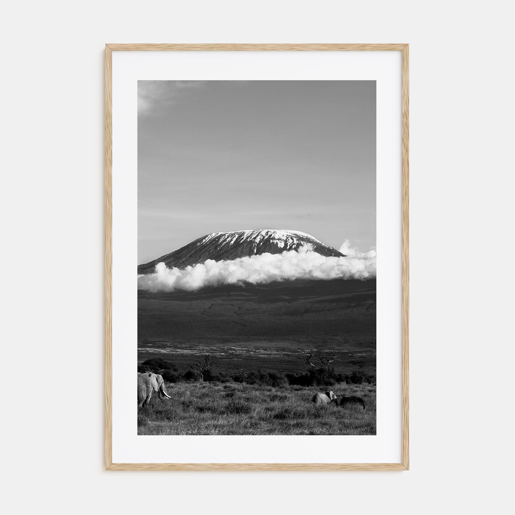 Mount Kilimanjaro Photo B&W Poster