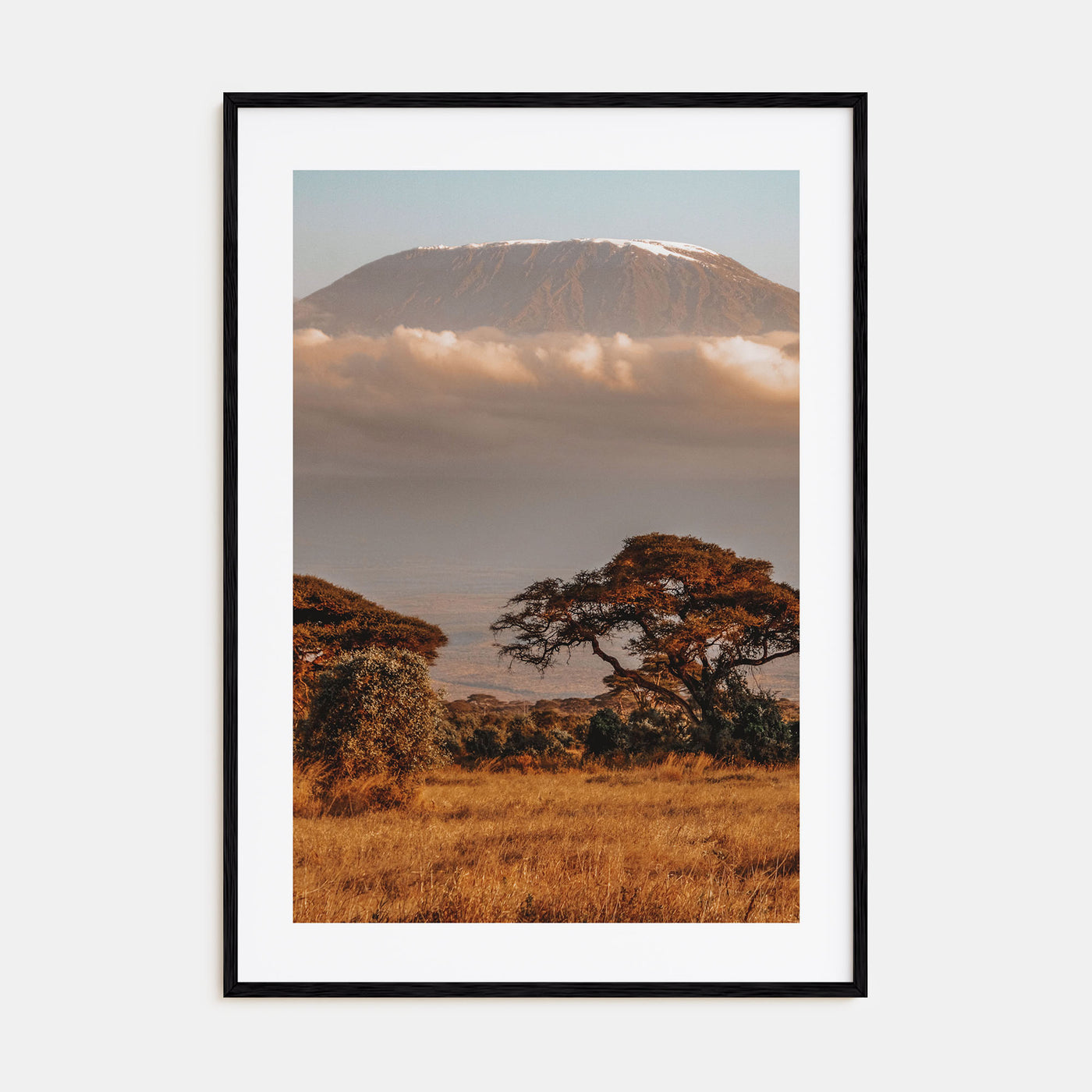 Mount Kilimanjaro Photo Color No 1 Poster