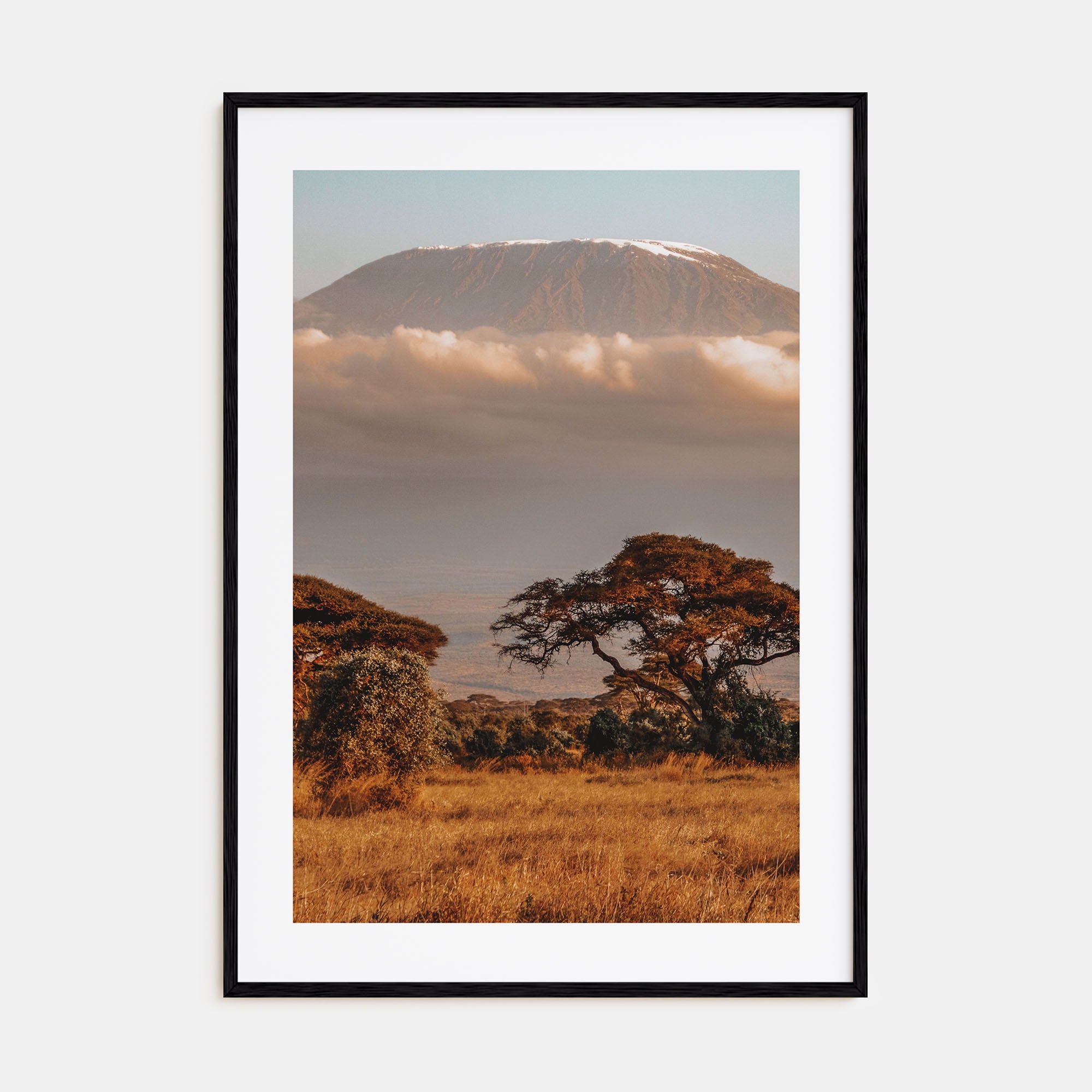 Mount Kilimanjaro Photo Color No 1 Poster