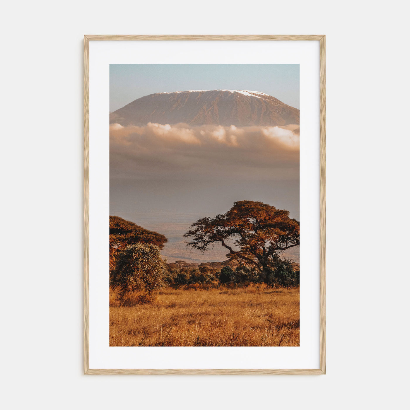 Mount Kilimanjaro Photo Color No 1 Poster