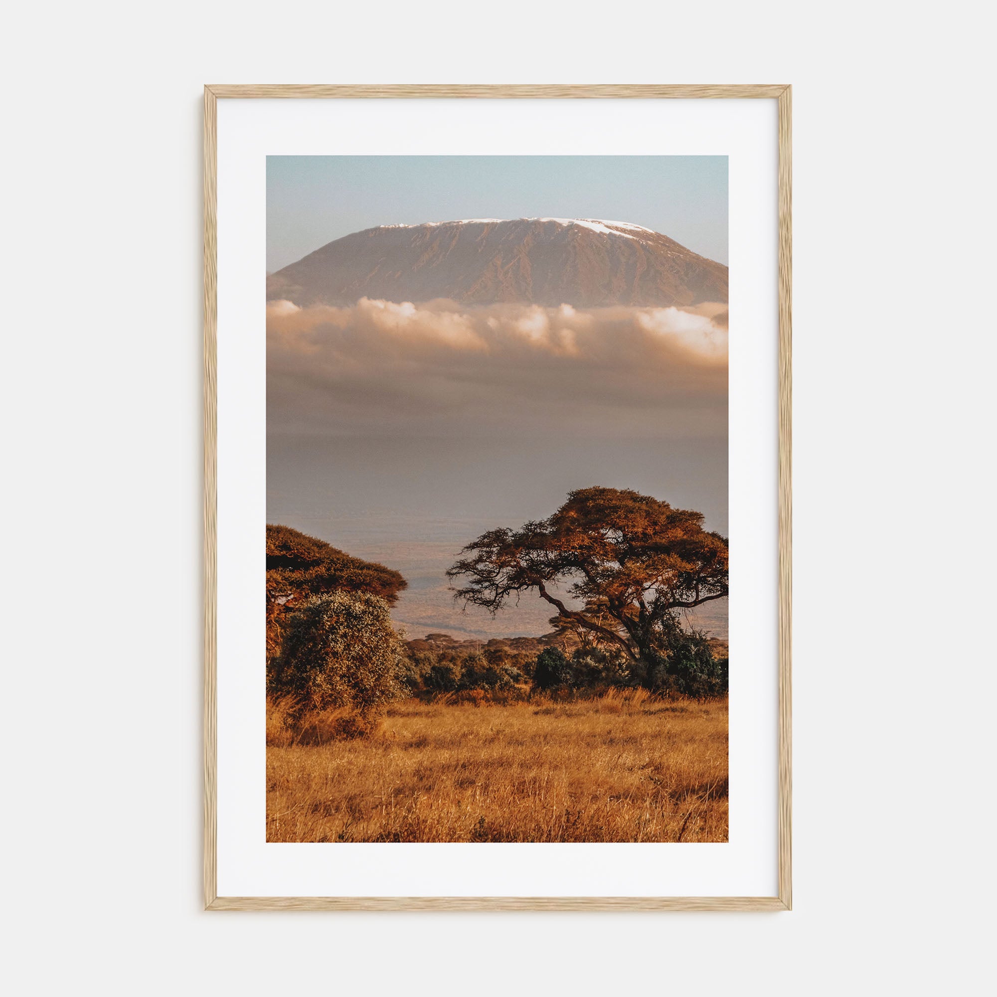 Mount Kilimanjaro Photo Color No 1 Poster