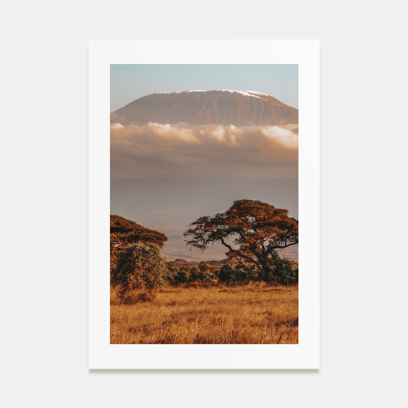 Mount Kilimanjaro Photo Color No 1 Poster