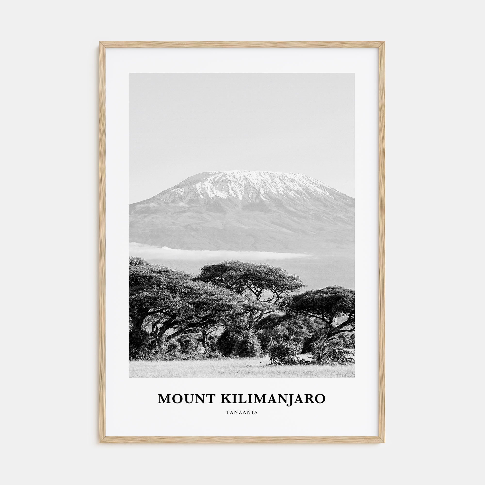 Mount Kilimanjaro Portrait B&W Poster