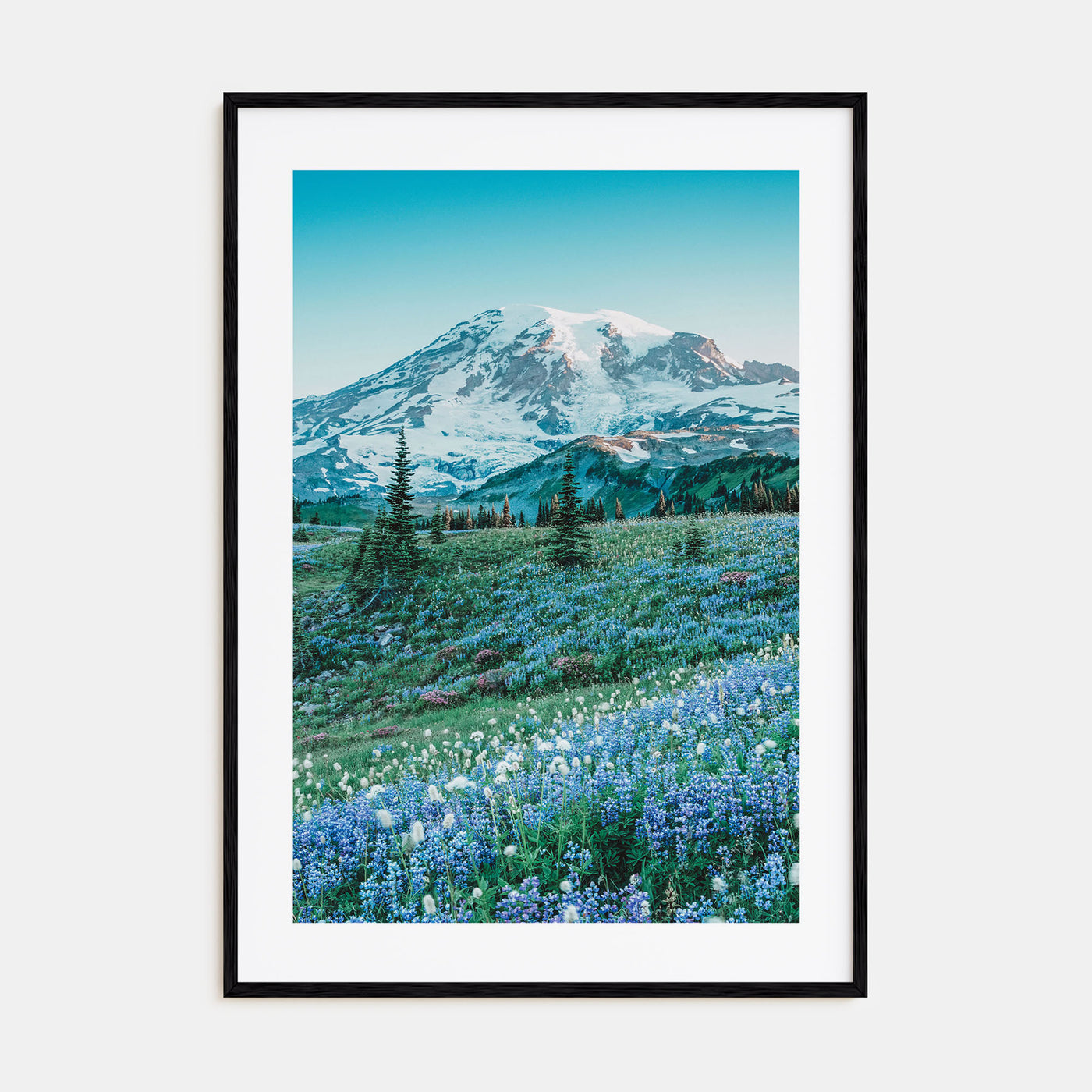 Mount Rainier Photo Color No 3 Poster