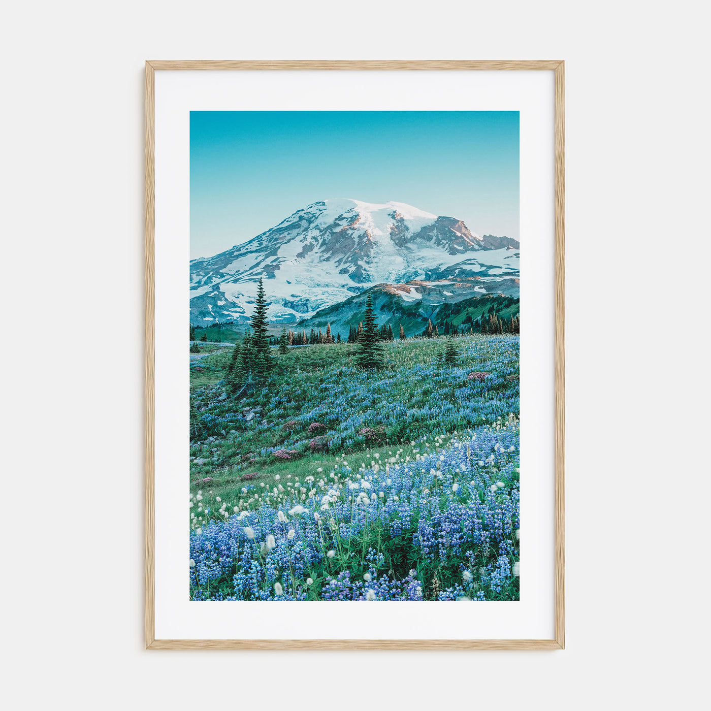 Mount Rainier Photo Color No 3 Poster