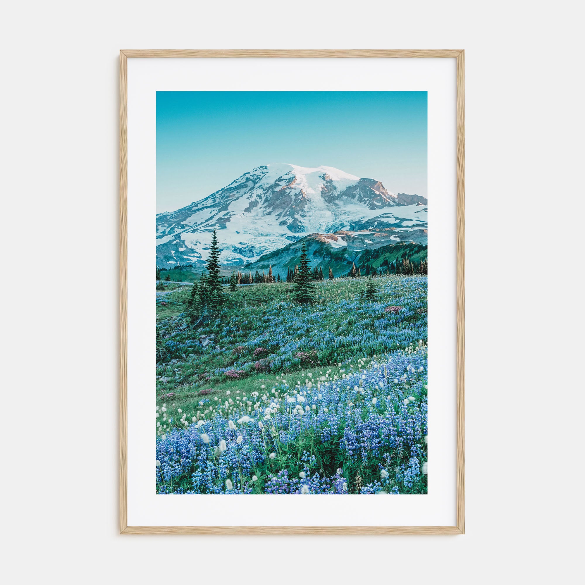 Mount Rainier Photo Color No 3 Poster