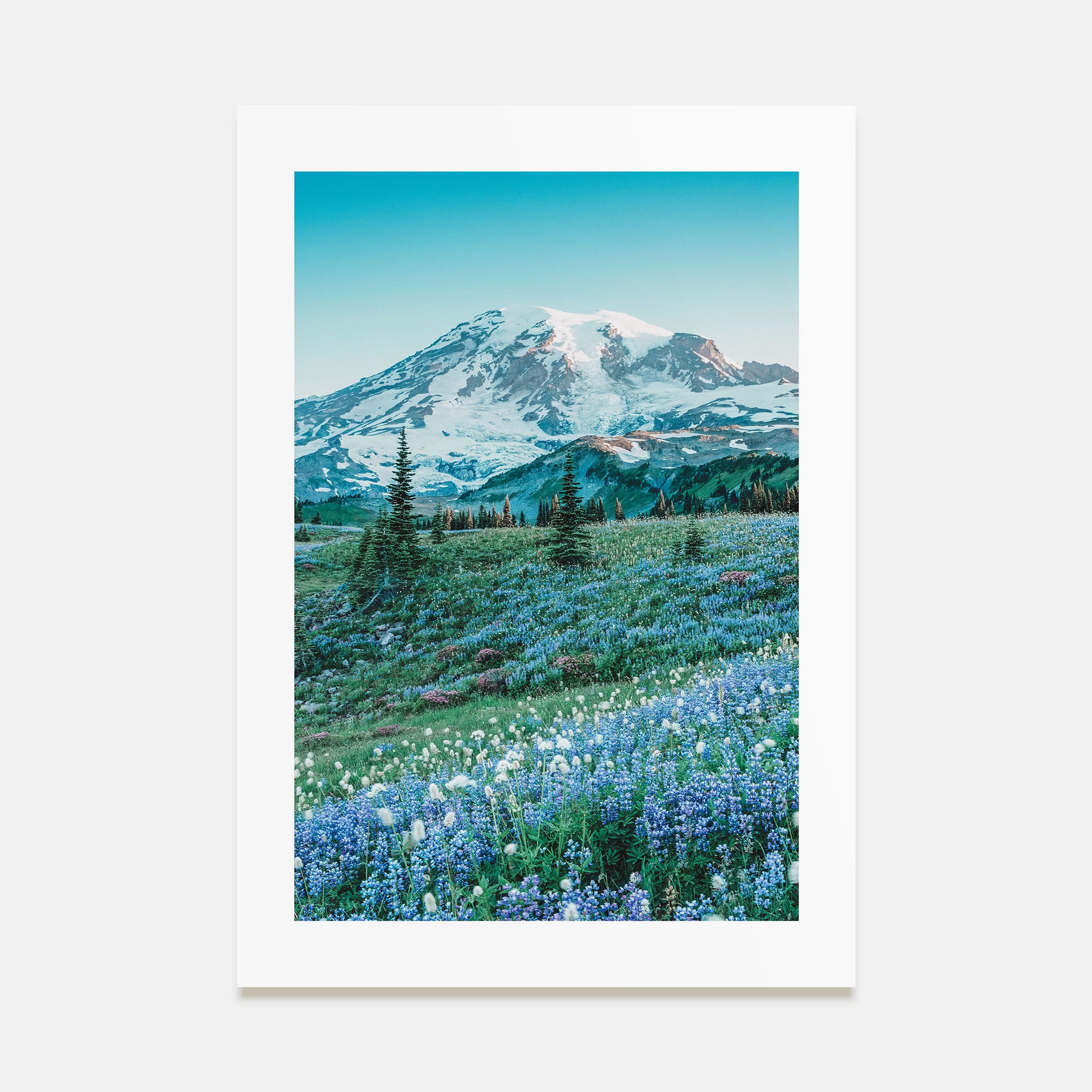 Mount Rainier Photo Color No 3 Poster