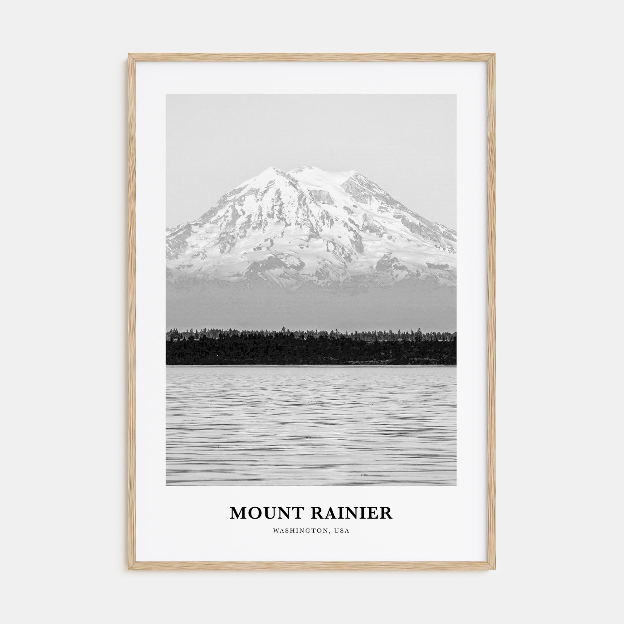 Mount Rainier Portrait B&W Poster