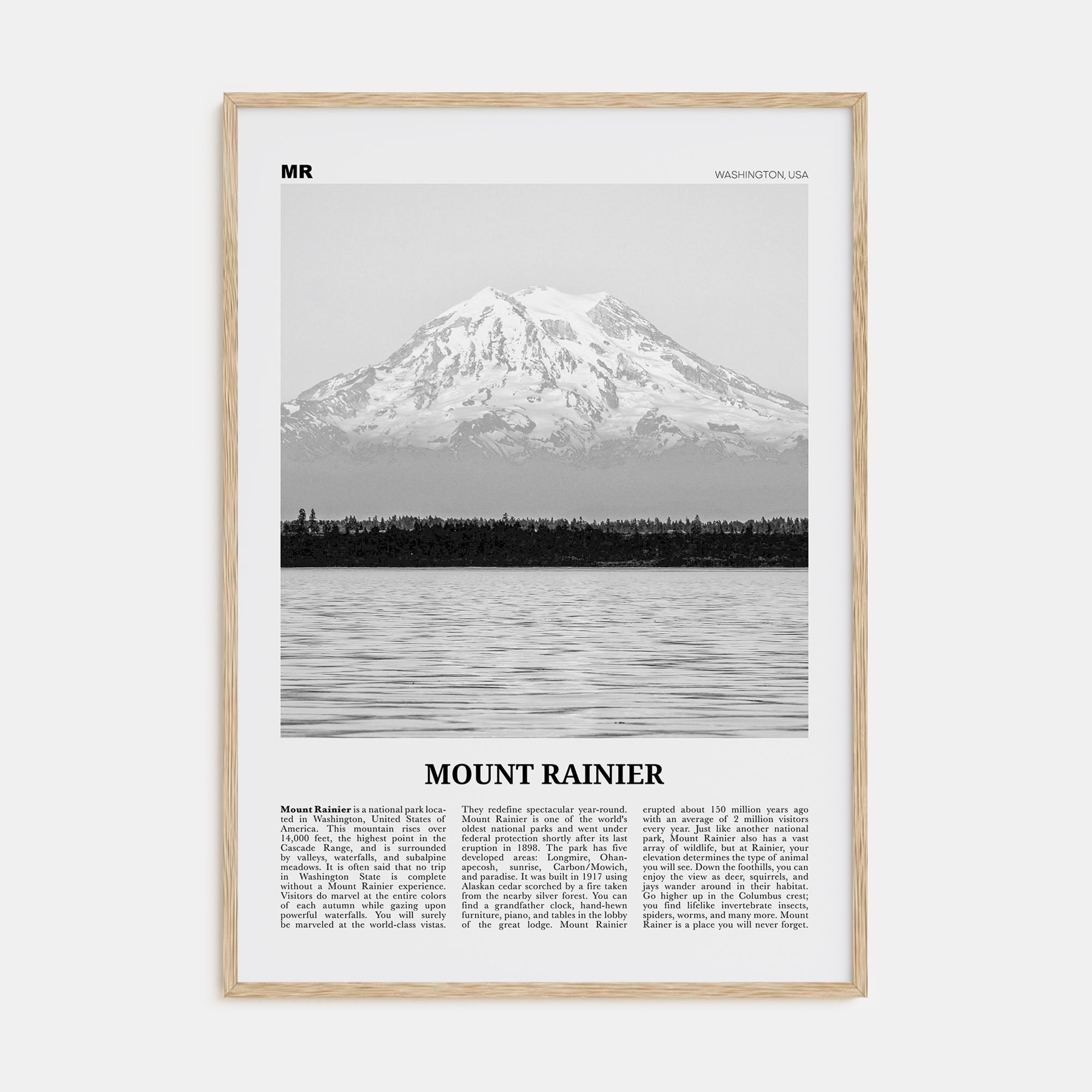Mount Rainier Travel B&W Poster