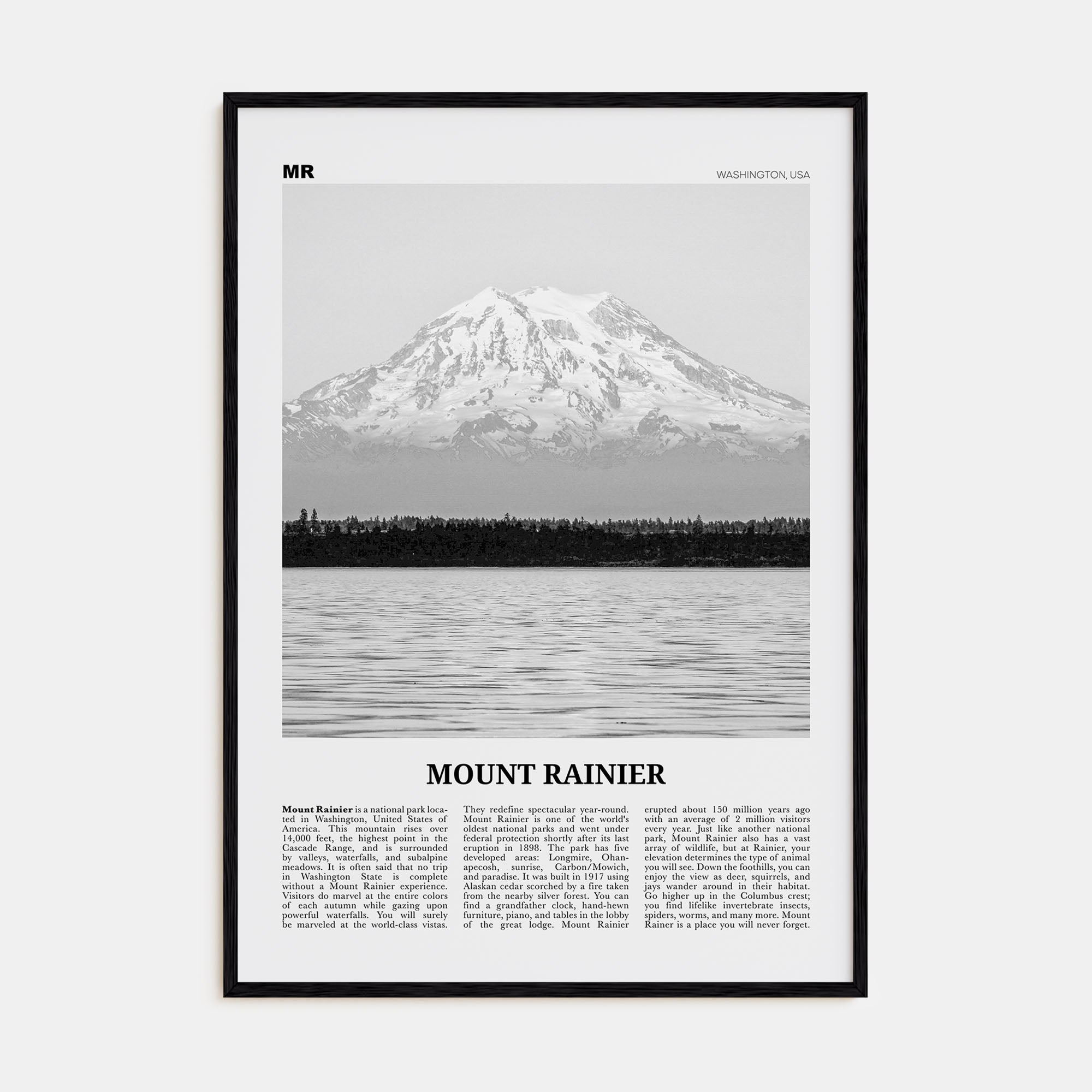 Mount Rainier Travel B&W Poster