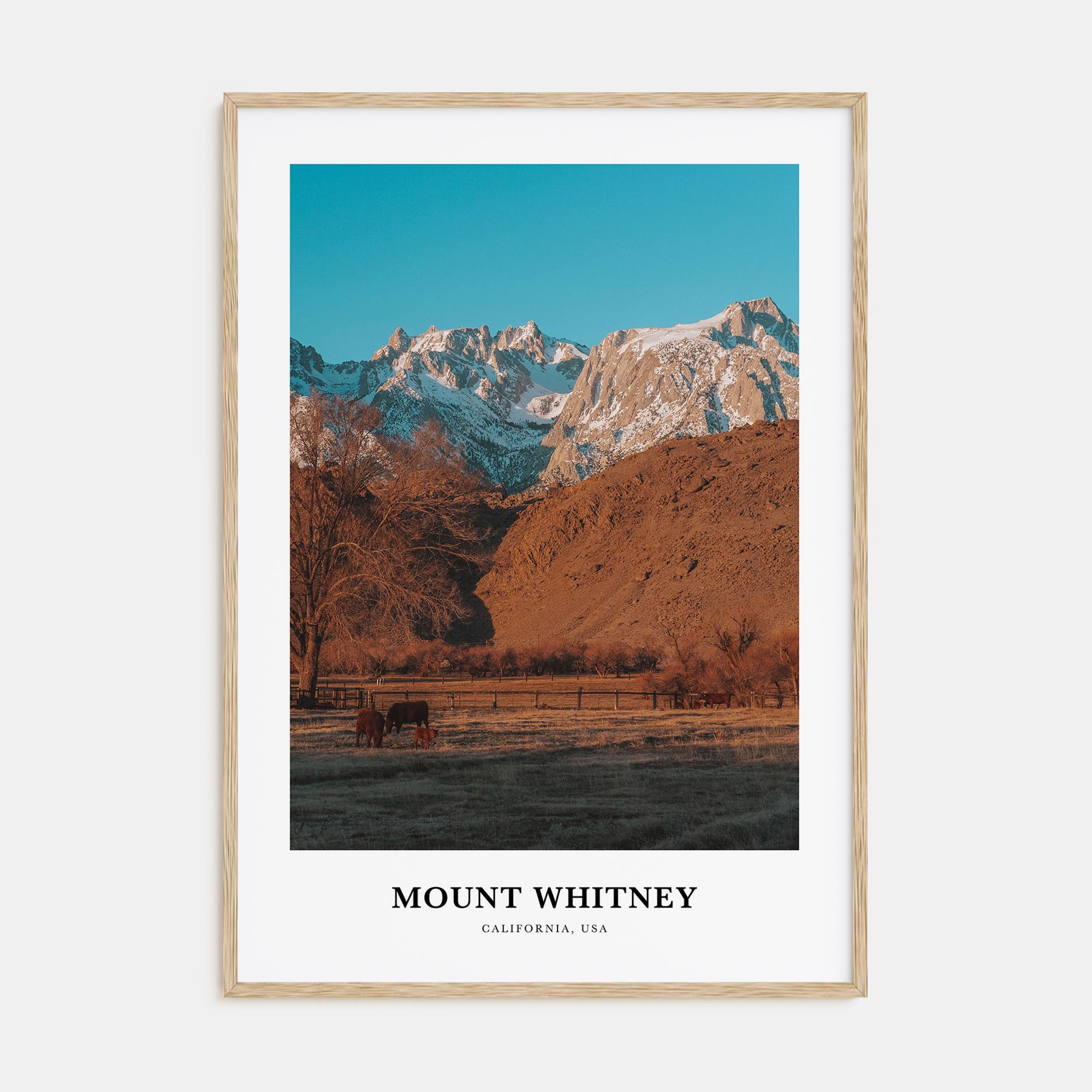 Mount Whitney Portrait Color Poster