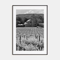 Napa Valley Photo B&W Poster