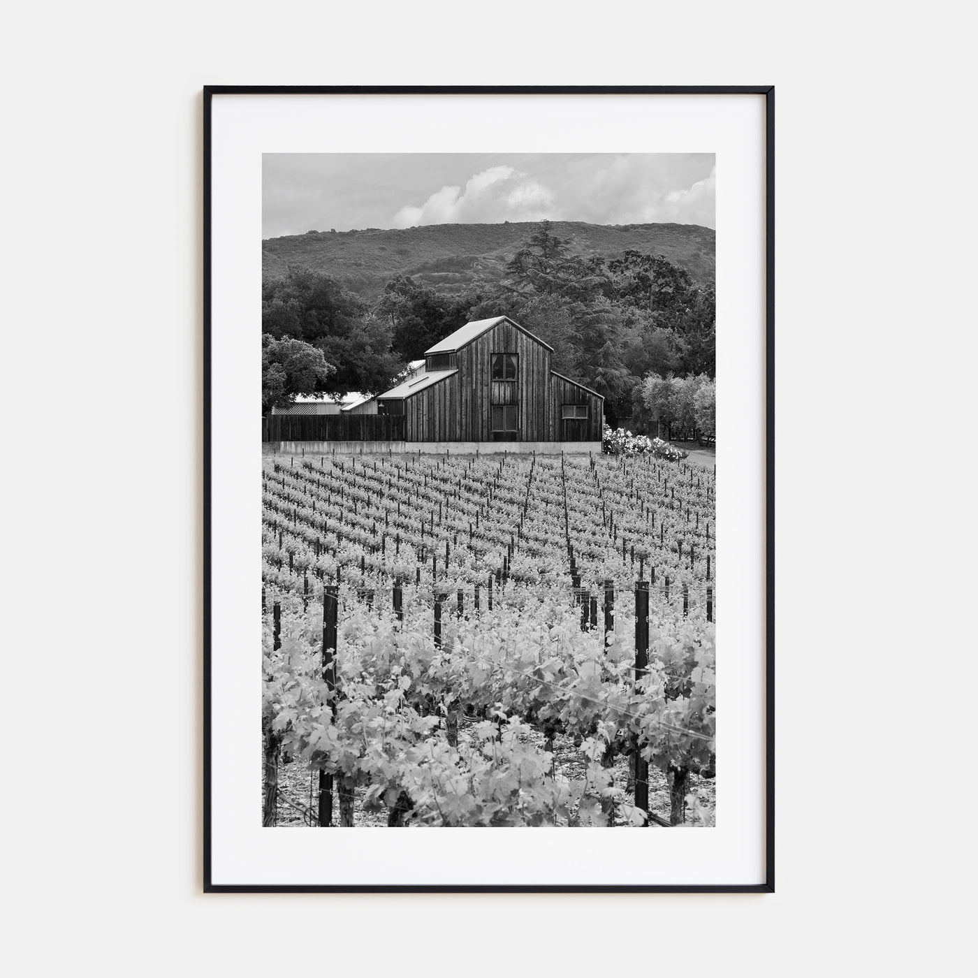 Napa Valley Photo B&W Poster