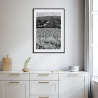 Napa Valley Photo B&W Poster