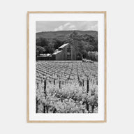 Napa Valley Photo B&W Poster