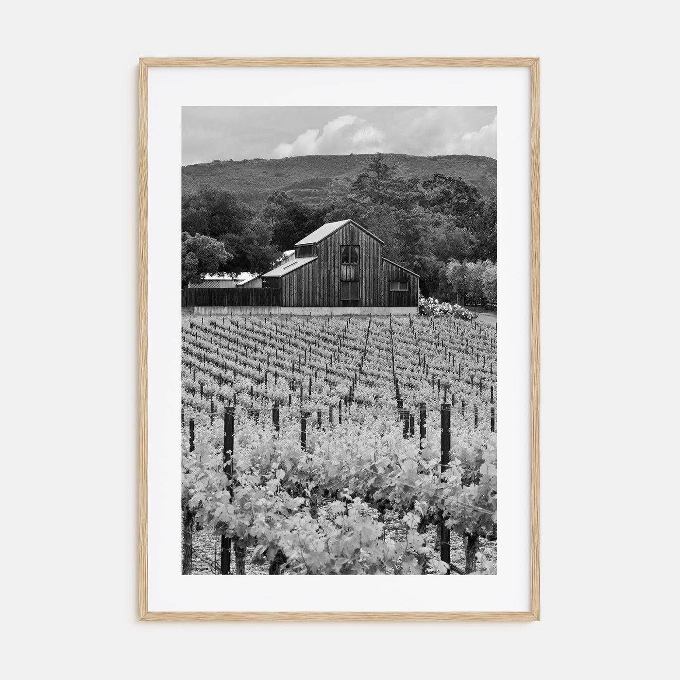 Napa Valley Photo B&W Poster