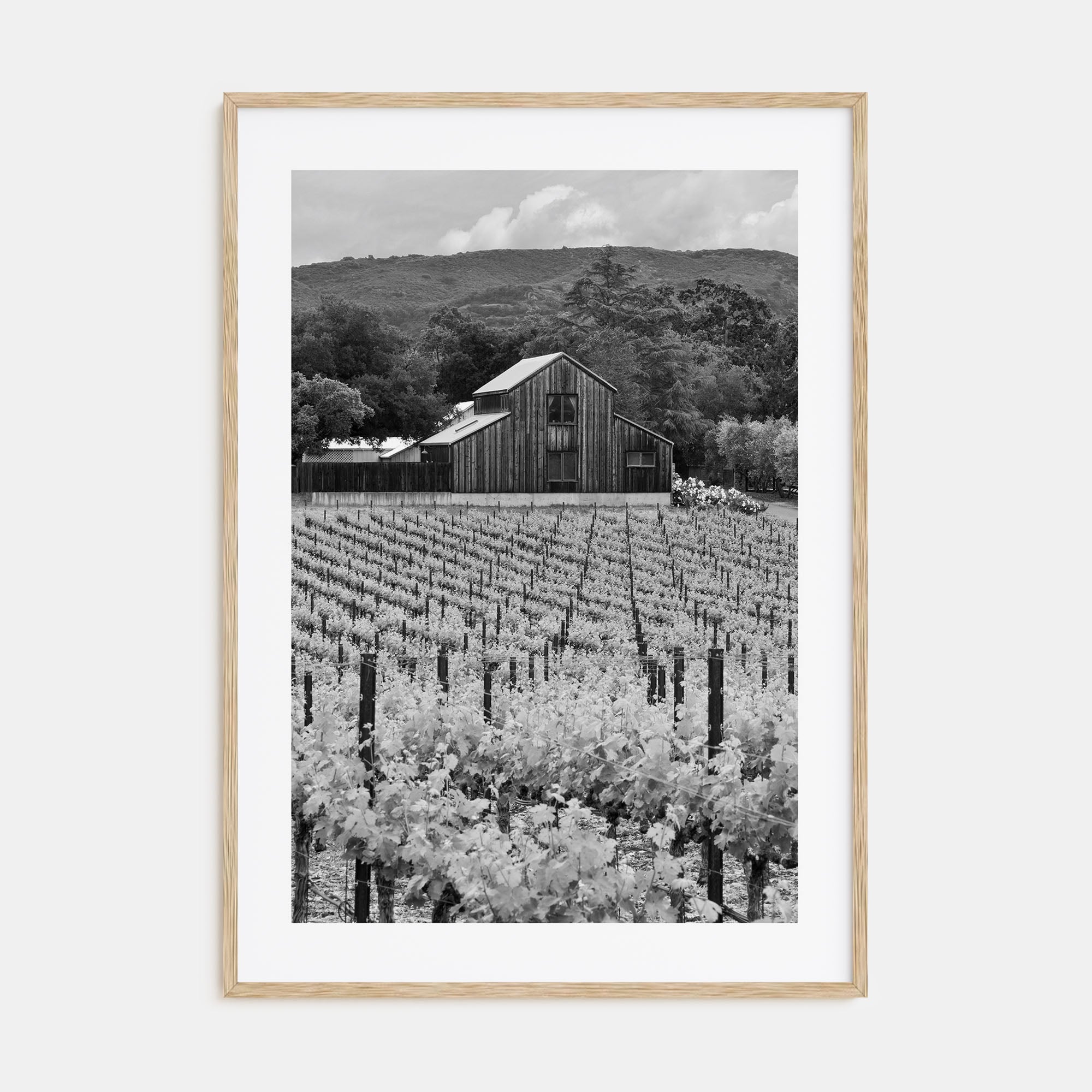 Napa Valley Photo B&W Poster