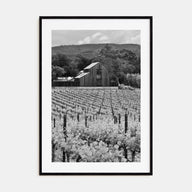 Napa Valley Photo B&W Poster