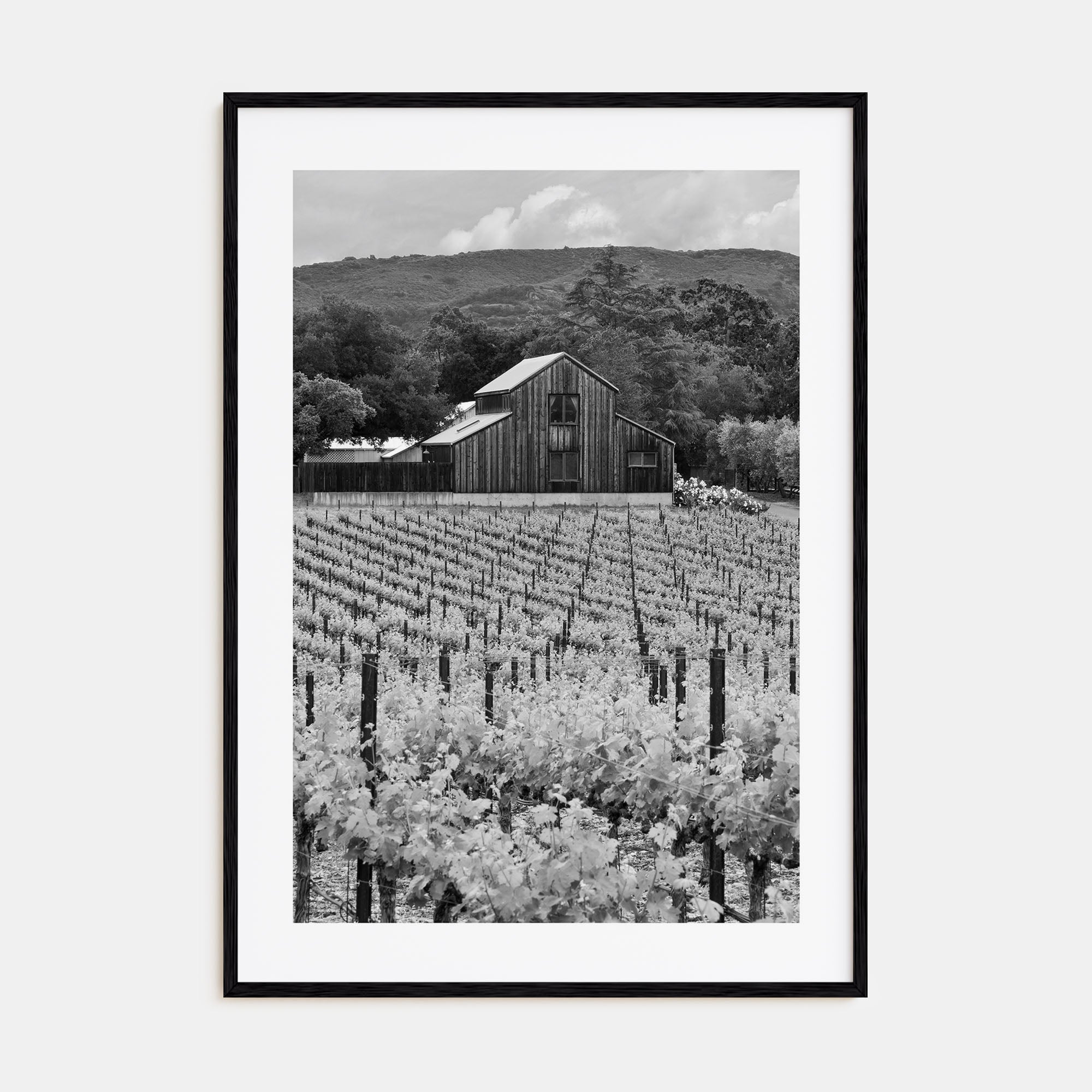 Napa Valley Photo B&W Poster