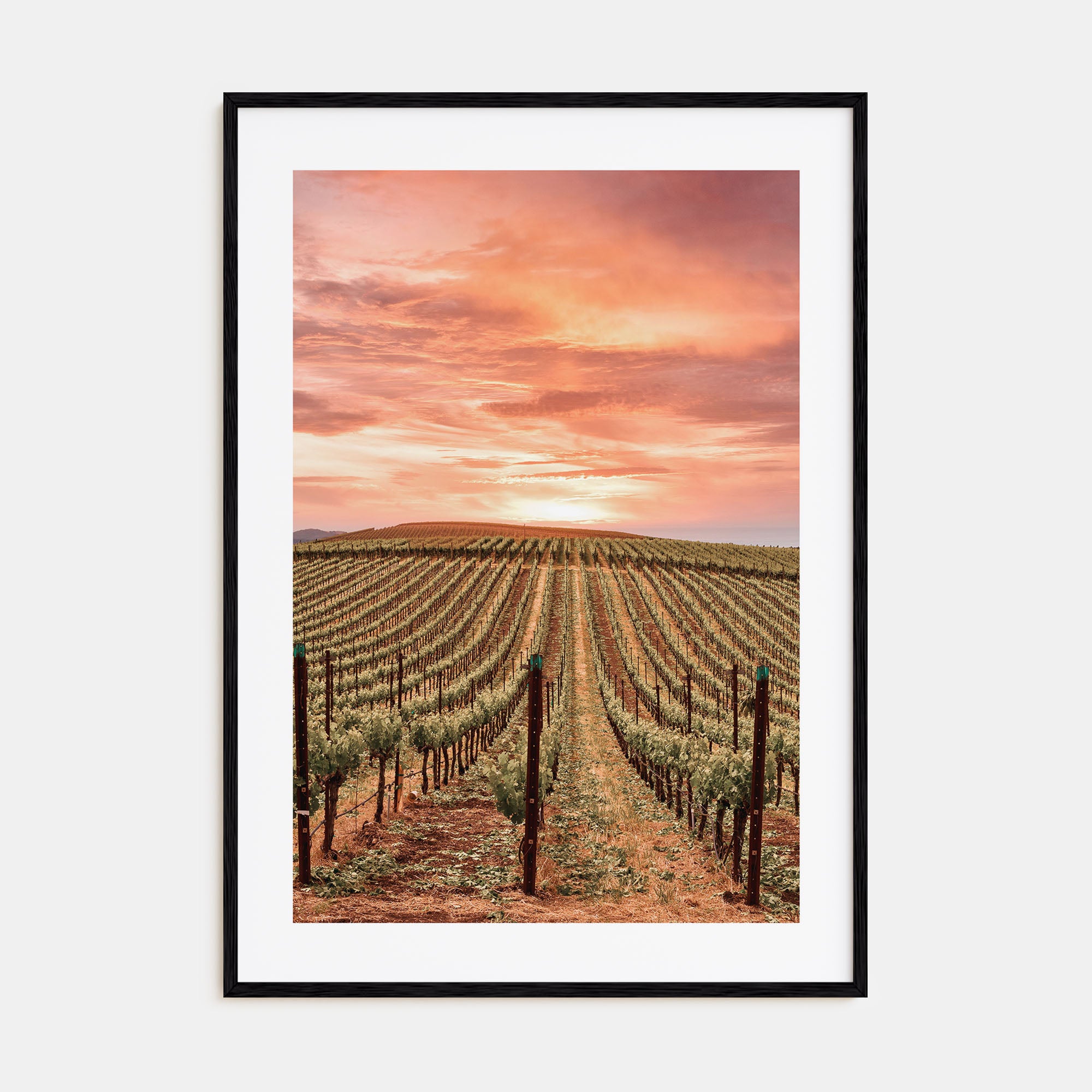 Napa Valley Photo Color No 1 Poster